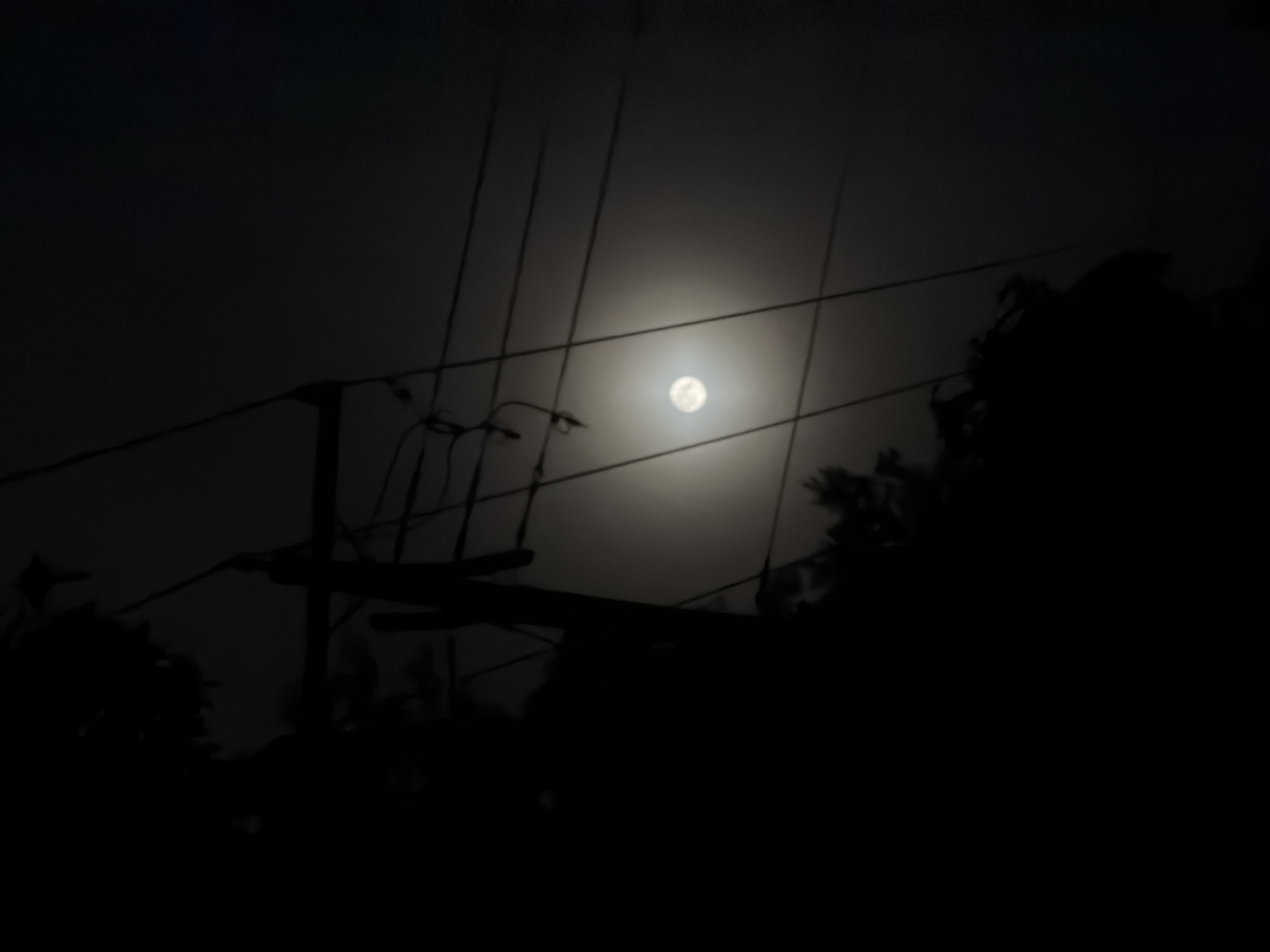 A full moon is visible in the night sky, partially obscured by overhead wires and silhouetted foliage. The scene is dark, with the moon being the primary light source. The environment appears to be an outdoor setting, possibly in a residential or semi-rural area, given the presence of utility wires. No people or specific landmarks are identifiable. The image conveys a sense of nighttime quietude.