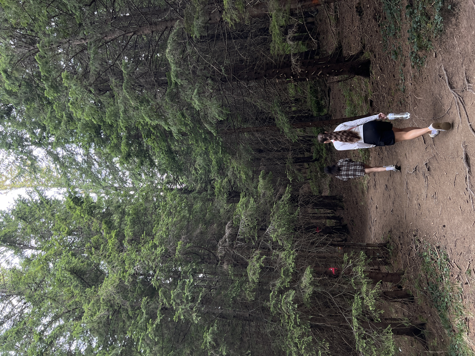 Two individuals are walking on a dirt path through a dense coniferous forest. The path is rough and uneven with exposed roots. The trees are tall and densely packed, with a lot of undergrowth and fallen branches. The person in front is wearing a long-sleeved white shirt and black shorts, carrying a water bottle. The person behind is wearing a plaid shirt and dark shorts. Red trail markers are visible on some of the trees. The location is identified as a forest in Vorokhta, Ukraine.