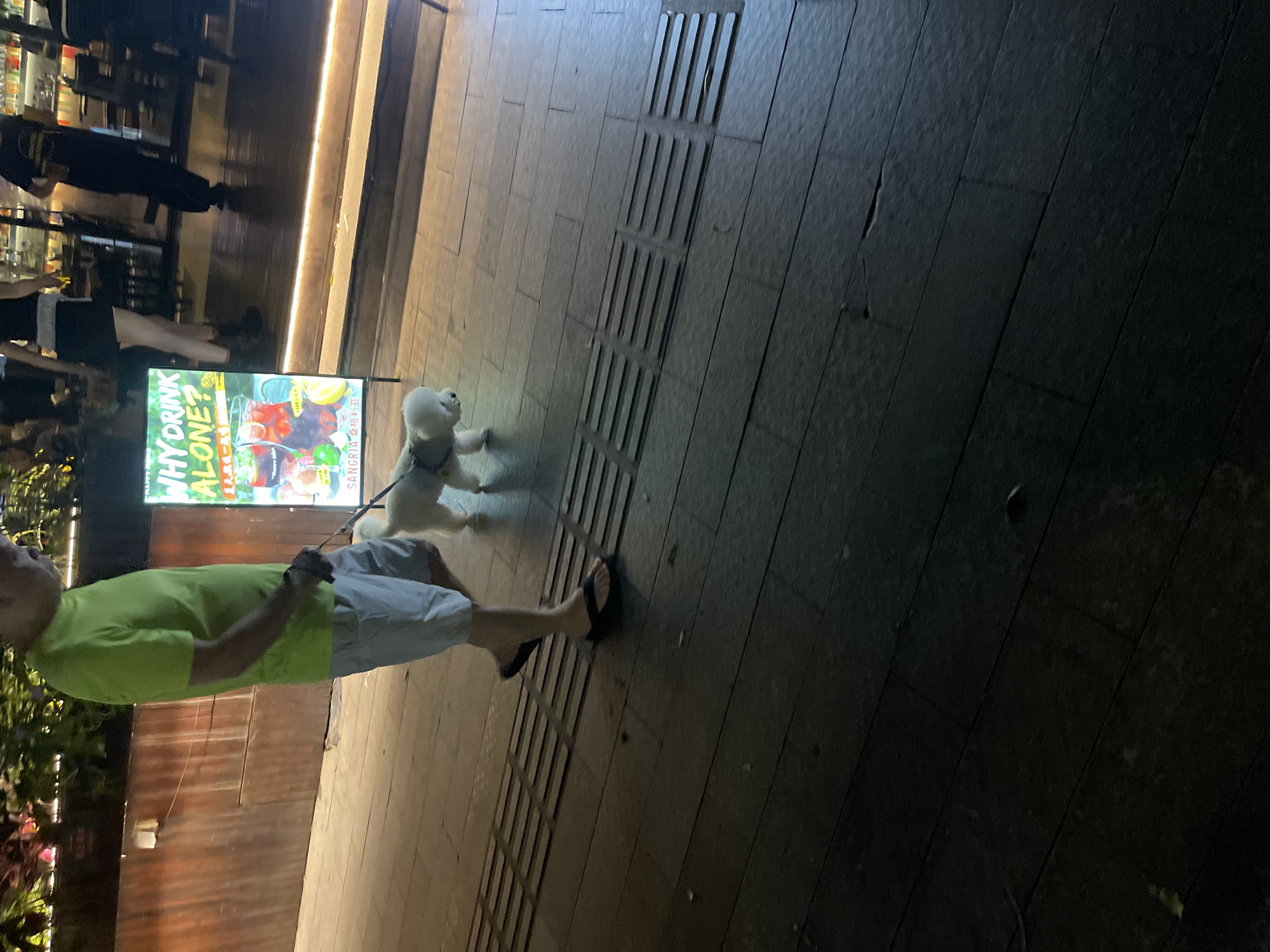 In Yuexiu District, China, at night, a person wearing a bright green t-shirt and light-colored shorts walks a small white dog on a leash. The dog, a bichon frise, is also on a leash. They are walking on a wooden sidewalk with metal tactile paving strips. In the background, there is a sign that reads "WHY DRINK ALONE?" with images of drinks. Behind the sign, a dimly lit establishment with people visible inside suggests a bar or restaurant. The scene is illuminated by artificial lighting.