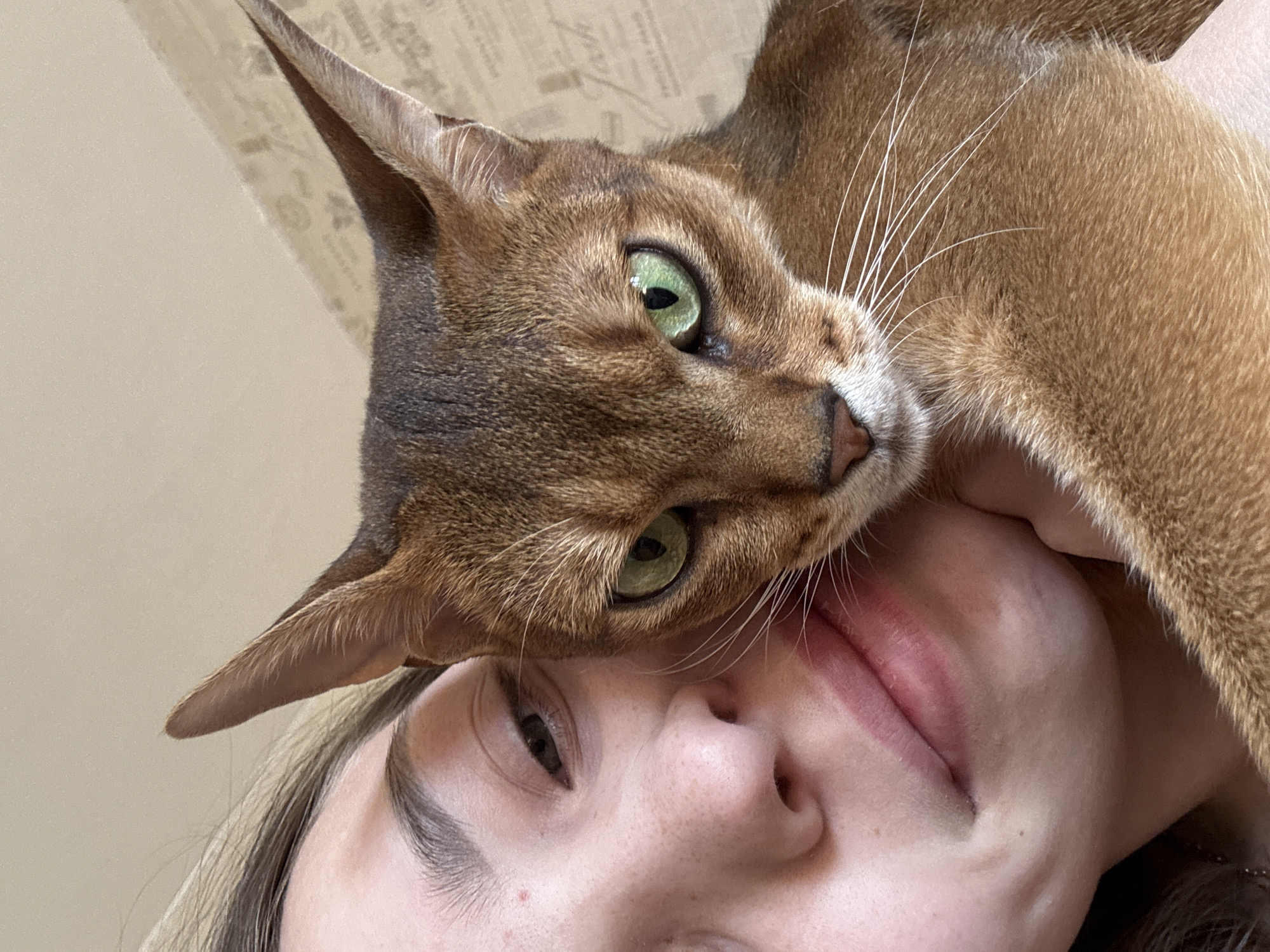 A photograph depicts a woman with light skin and dark hair lying with her face angled upwards, nuzzled closely by a light brown cat. The cat has prominent, pointed ears and green eyes, looking at the camera. The woman's eyes are partially closed. The background is blurry and out of focus, with a textured surface visible behind the cat's head. The image appears to be taken at close range, emphasizing the interaction between the woman and the cat. There is no information to indicate that this image was taken in Chaikovsky, Russia.