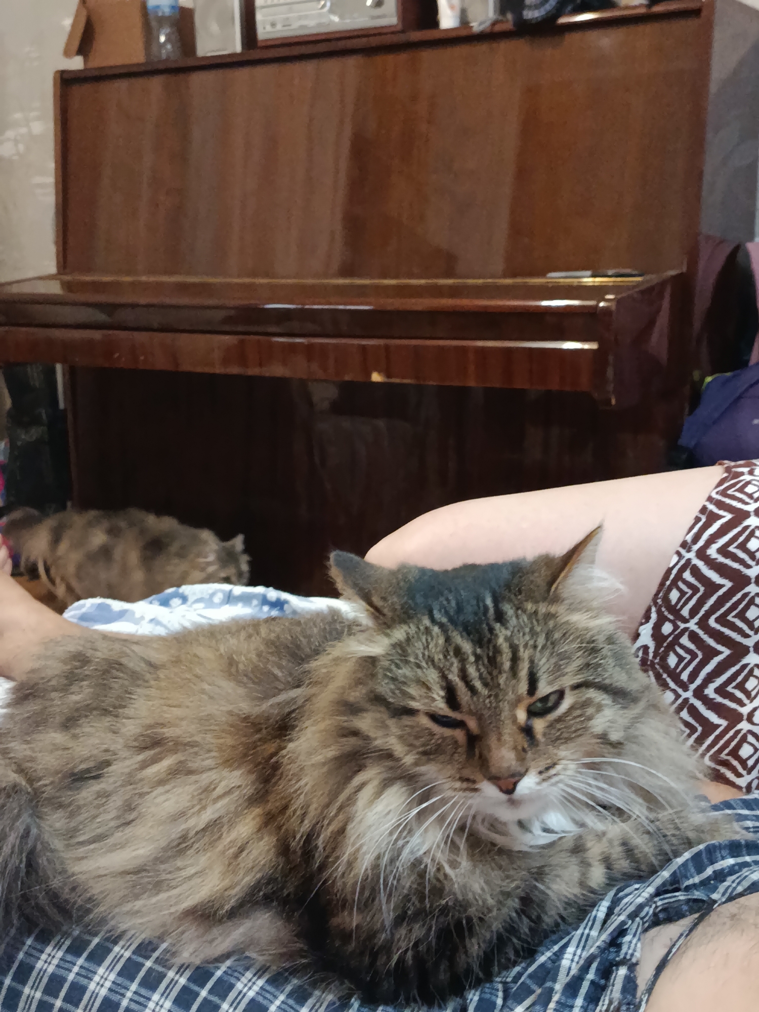 Memory