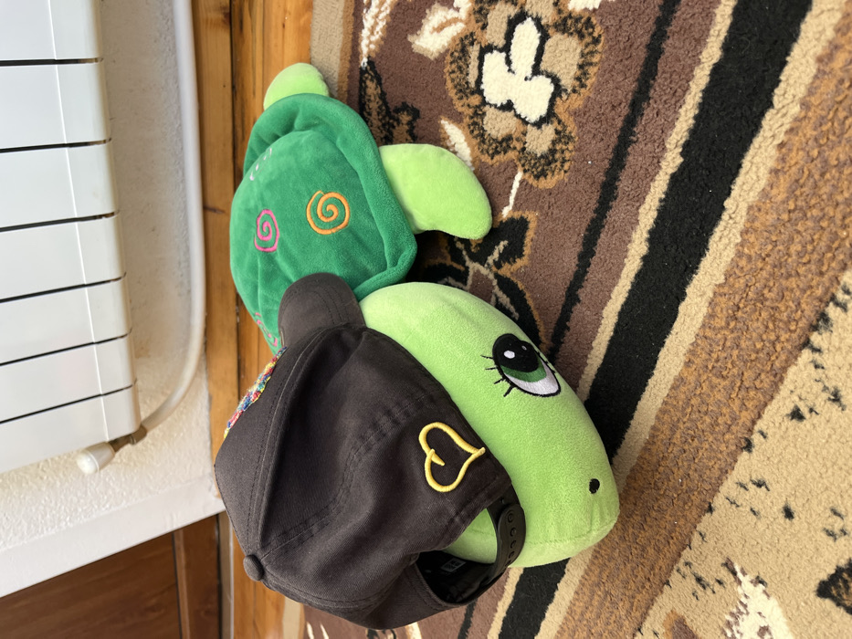The scene is an interior view within a residential setting in Sheynovo, Bulgaria. Two plush turtle toys are positioned on a multi-toned brown carpet featuring floral and striped patterns. The foreground subject is a light green plush turtle with embroidered eyes, wearing a dark brown baseball cap that has a yellow heart emblem on its side and multicolored stitching on the front visor. Directly behind and slightly to the right of the first turtle is a second, darker green plush turtle with lighter green limbs and a shell adorned with pink and orange spiral patterns. In the background, a white wall with a horizontal white radiator heater is visible, above a wooden baseboard. A portion of a wooden door frame is partially visible on the far left. No individuals are present in the image.