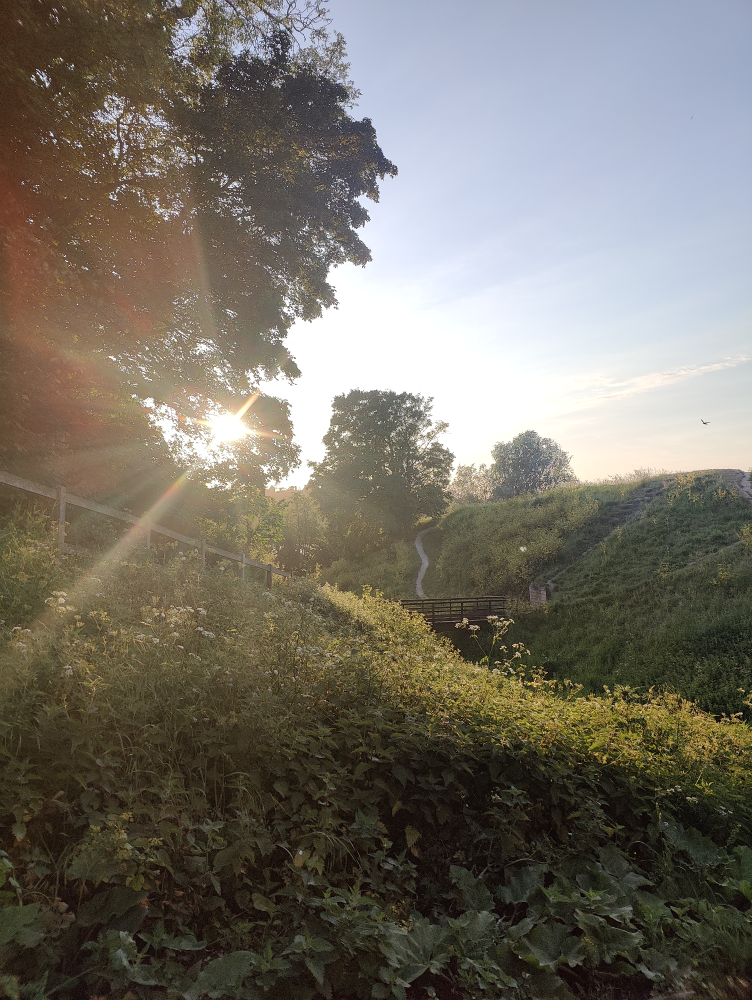The image captures a sunlit landscape in East Suffolk, United Kingdom. The scene features a pathway leading over a small wooden bridge, nestled within a grassy, ditch-like area. The vegetation is lush, with wildflowers blooming in the foreground. A wooden fence runs along the left side, with trees casting shadows and sunlight filtering through their leaves. In the background, a grassy hill is visible, with a bird flying in the sky above it. The time of day appears to be morning or late afternoon, given the angle and intensity of the sunlight.