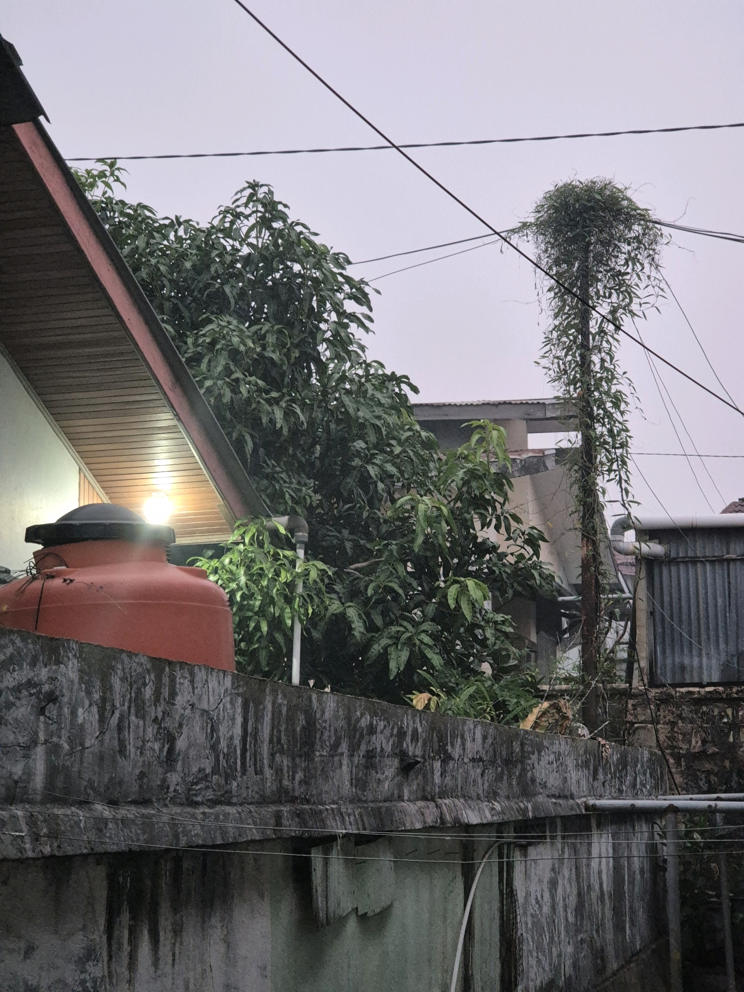This image depicts an outdoor scene in Bontang, Indonesia, likely a residential area with some commercial elements. A large, orange water tank with a black lid is prominent in the foreground, situated on a concrete wall. To the left, part of a building with a wooden-paneled roof and a bright light is visible. Behind the water tank and wall, lush green trees with dense foliage dominate the middle ground. A tall pole covered in vines and foliage is also visible, intertwined with overhead power lines. In the background, corrugated metal structures and other buildings can be seen, suggesting an urban or semi-urban environment. The sky is overcast, indicating potentially rainy weather. The overall impression is one of a slightly cluttered but functional urban landscape with a significant presence of vegetation.