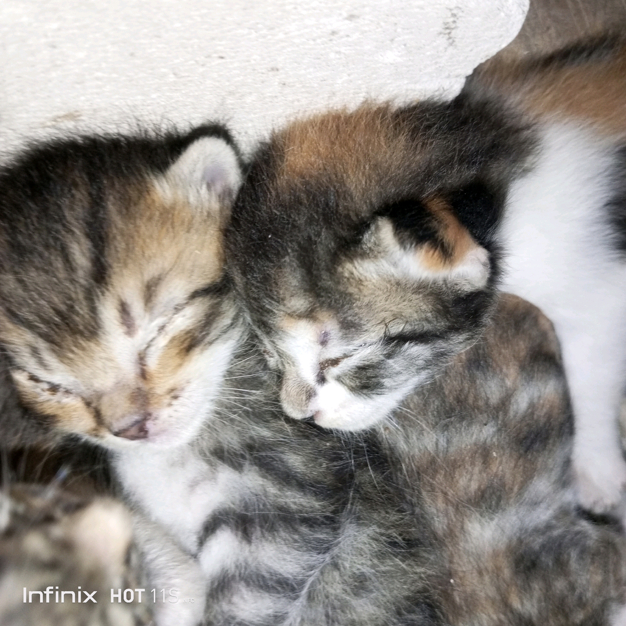 Two young kittens, one tabby and one calico, are sleeping curled up together on a light-colored, rough surface that appears to be concrete. The tabby kitten is on the left with its face partially obscured. The calico kitten is nestled to the right, with its head resting on the tabby's back. Their eyes are closed, and their fur shows a mix of gray, brown, and white. The image is taken from a close-up perspective, focusing on the sleeping kittens. The background is out of focus and appears to be a neutral, textured surface. The "Infinix HOT 11S" watermark is visible in the lower left corner.