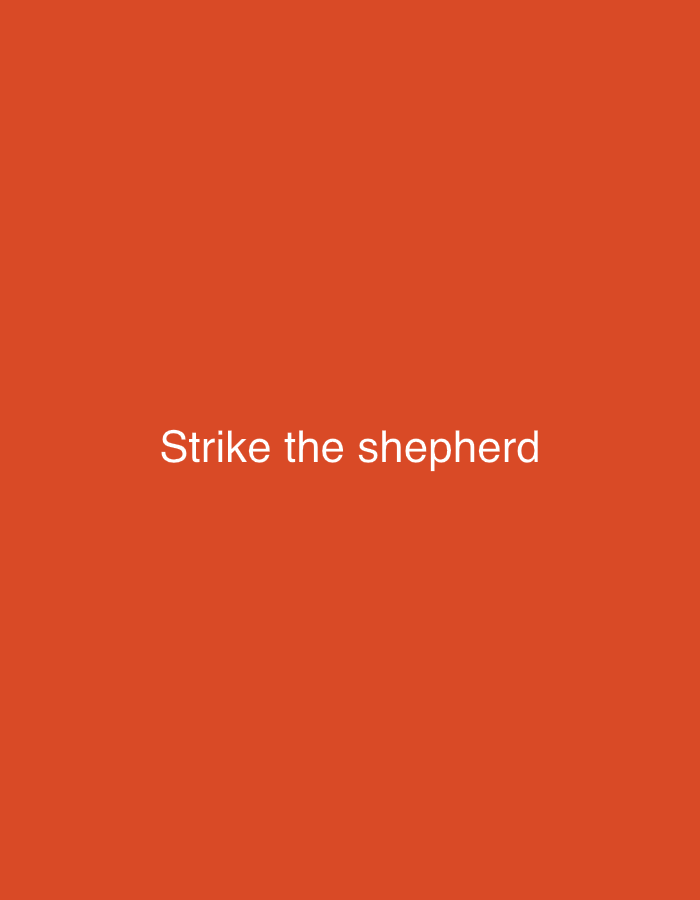 The image is a simple, flat, orange background with white text centered in the middle that reads "Strike the shepherd". There is no indication of the city of New Stadium, Nigeria, nor any people, subjects, objects, actions, or interactions.