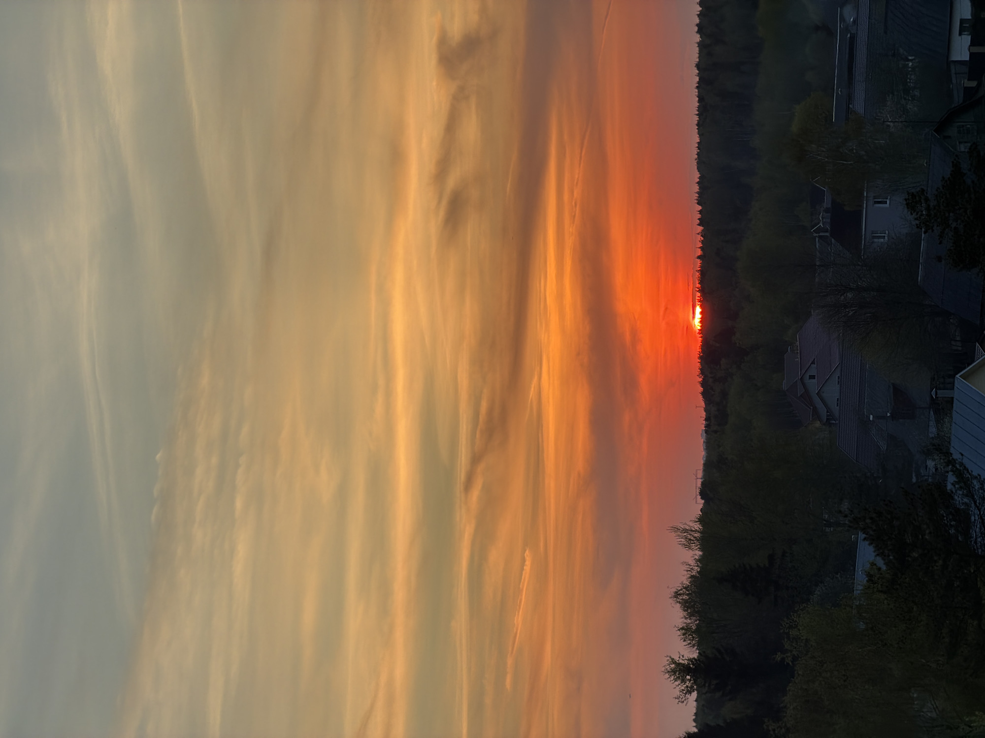 The image captures a vibrant sunset in a residential area. A band of orange and red light emanates from the horizon, obscured by trees, and fills a large portion of the sky. The light gradually transitions to yellow and pale blue hues higher in the sky. Several houses are visible among the trees. The exact location and time are undetermined from the image.