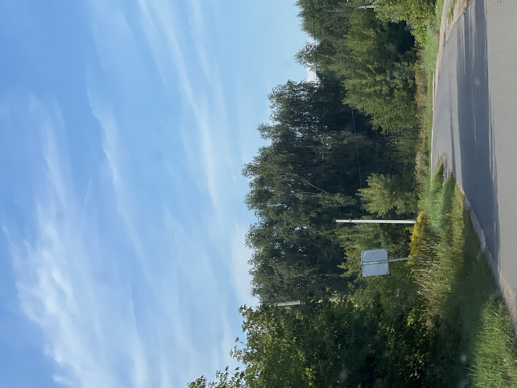 This is a photograph taken from a moving vehicle on a sunny day, capturing a view of a road curving to the left, bordered by lush green foliage and tall trees. The sky above is a clear blue with wispy white clouds. In the foreground, the asphalt road reflects the sunlight, casting shadows. To the left of the road, tall grass and yellow wildflowers grow, with a signpost visible in the distance. A line of dense, dark green trees forms a backdrop, with lighter green trees interspersed throughout. The scene appears to be on the outskirts of Bor, Russia, likely a rural or semi-rural area, given the presence of natural vegetation and the absence of urban infrastructure. There are no people visible in the frame.