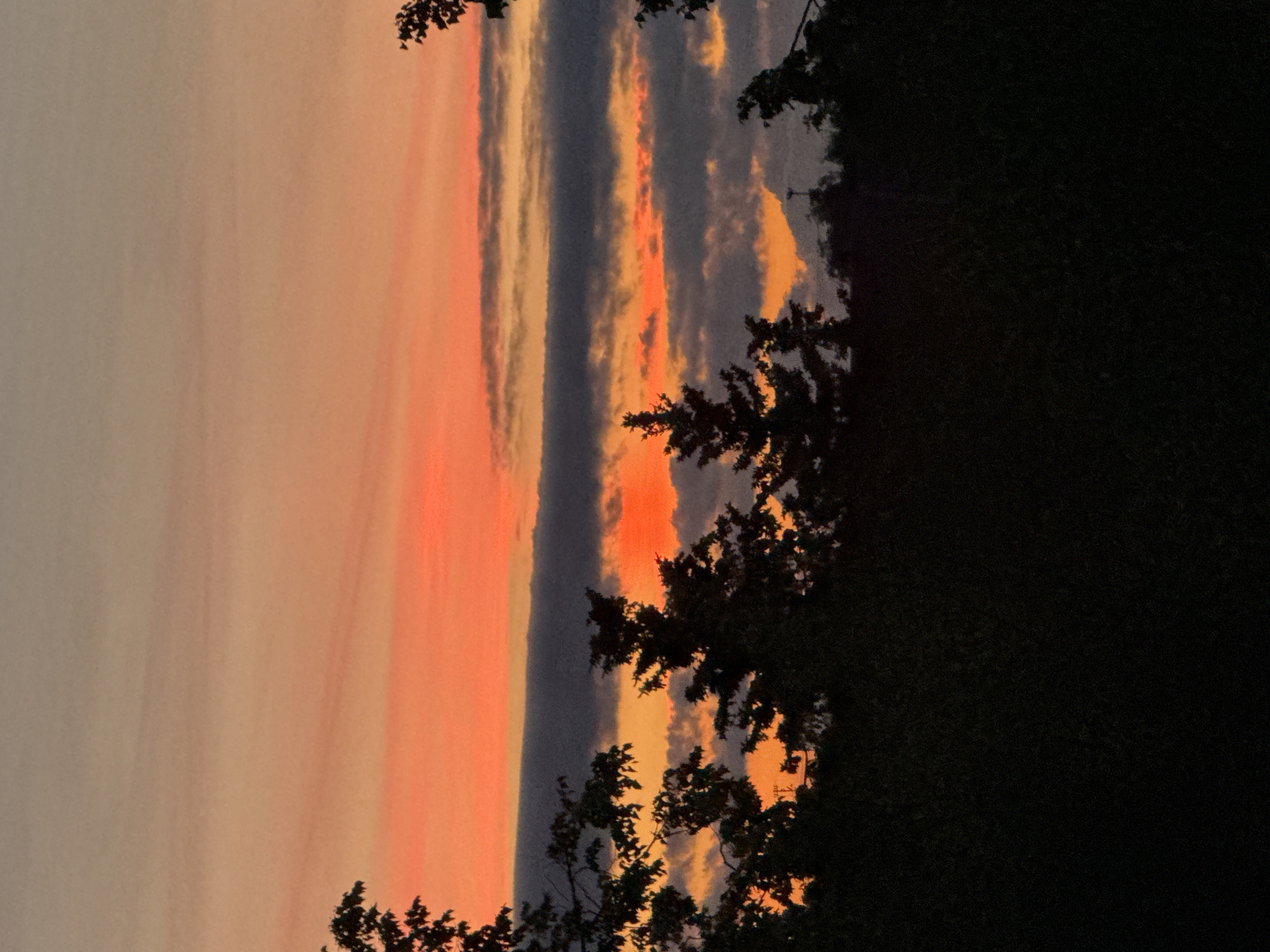 The image depicts a silhouetted treeline against a vibrant sunset sky. The sky exhibits a gradient of colors, transitioning from a soft grey at the top to bright orange and red hues closer to the horizon. Several layers of clouds are visible, with some appearing dark and others catching the light of the setting sun, creating bands of color. Evergreen trees and deciduous trees with foliage are silhouetted against the sky, forming a dark, dense line across the lower portion of the frame. The overall impression is one of a natural landscape at dusk. The prompt's request for the location of Veliky Novgorod, Russia is not supported by any visual cues within the image.