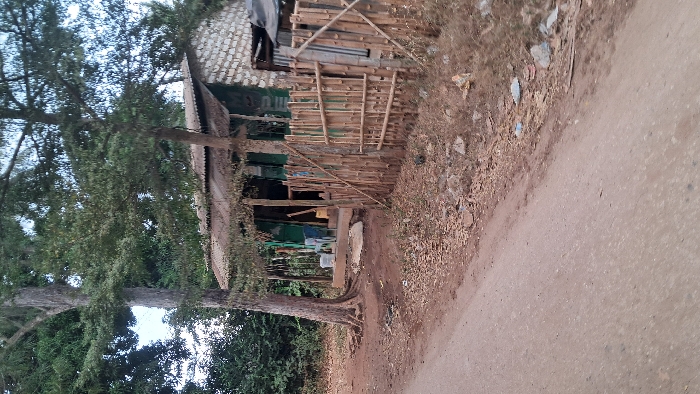 The image depicts an outdoor scene in what appears to be a rural or semi-urban environment, characterized by a mix of natural elements and a small, rustic human-made structure. The overall impression is one of simplicity and informality.
In the foreground and extending to the right side of the image, there is a light brown, unpaved dirt road. The surface of the road shows some unevenness and small pebbles. To the left of the road, there's a patch of dry, earthy ground covered with sparse, withered vegetation, dried leaves, and scattered debris, which includes what looks like small pieces of plastic or other discarded materials.
Dominating the central and left portions of the image is a small, informally constructed building or shack. This structure appears to be built from various materials, possibly including corrugated metal or wooden planks for its walls, some of which are painted a dull green. In front of the building, there is a fence made from thin wooden poles or bamboo sticks, arranged both vertically and horizontally, creating a barrier. Underneath a small overhang or porch area of the building, some items are visible, including what look like plastic containers or buckets, suggesting it might be a small vendor stall or a dwelling.
On the far left of the frame, and extending upwards, are the trunks and extensive canopies of two large trees with abundant green foliage. Their roots are visible near the base of the structure and along the edge of the dirt path. Through the dense leaves of these trees, patches of a bright, possibly overcast or hazy, sky can be seen.
The lighting in the image suggests it is daytime, with no harsh shadows, implying either an overcast day or perhaps early morning or late afternoon light. No people or specific activities are visible, and there is no discernible text within the frame. The scene evokes a sense of a quiet, everyday setting.