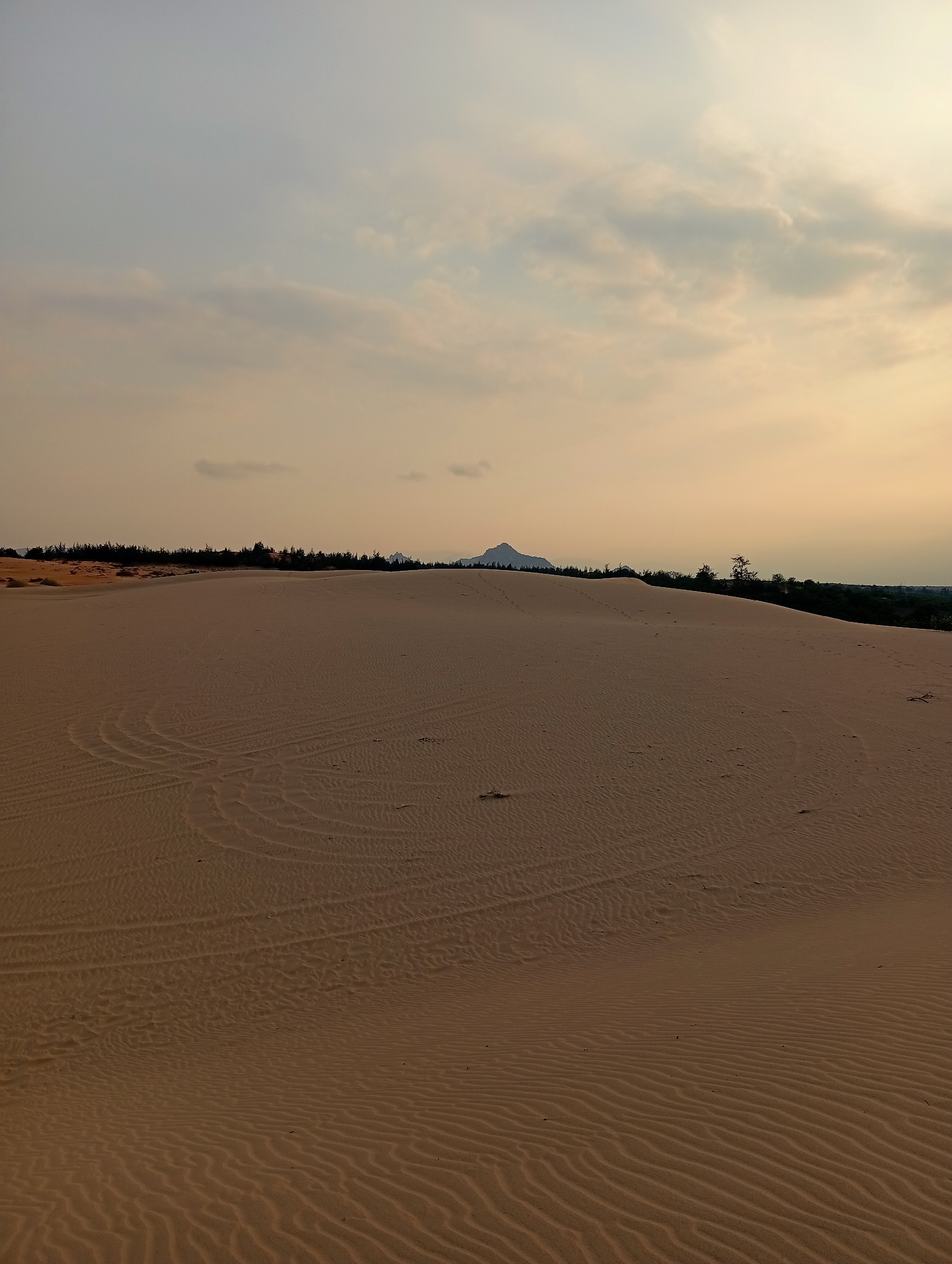 The image depicts a sand dune landscape in Phuoc Dinh, Vietnam. The scene is dominated by the large expanse of sand, showing patterns and textures created by wind and movement. Tire tracks are visible in the middle ground. In the background, a line of trees and a distant mountain can be seen against a dusky sky with some clouds. No people or animals are present. The overall environment suggests a remote, arid or semi-arid location.
