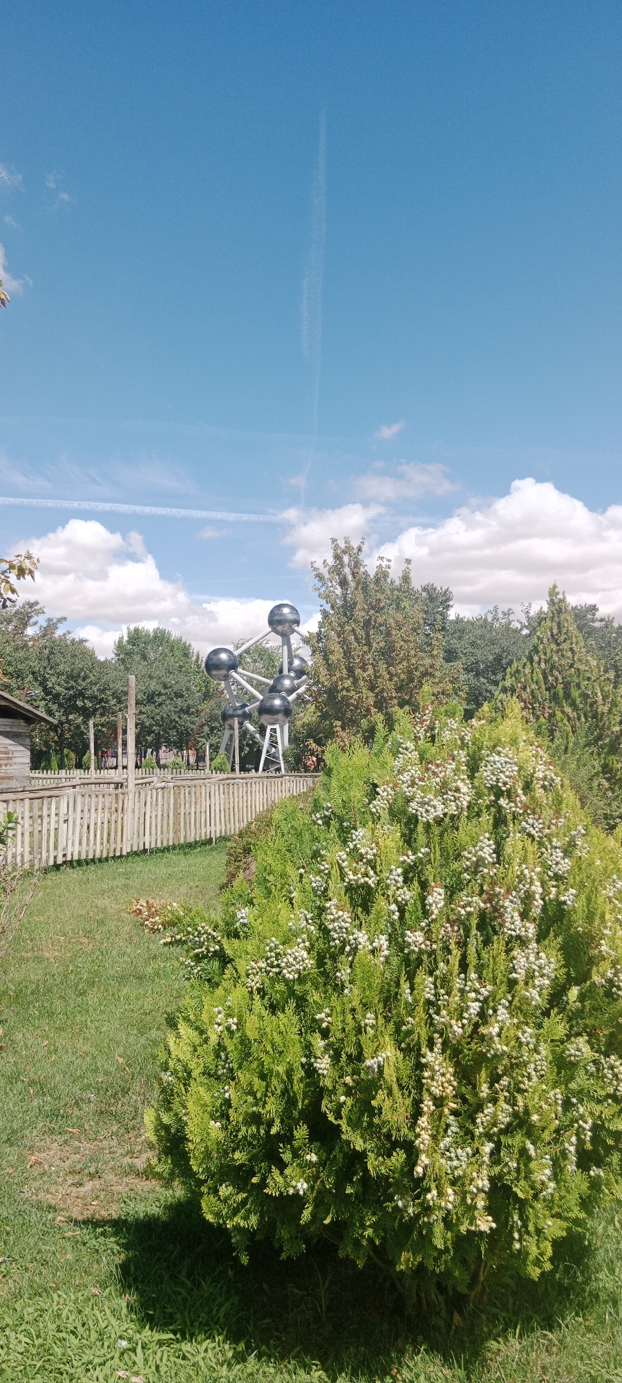 The image depicts an outdoor scene with a prominent atomic structure sculpture in the background, likely the Atomium replica located in Parque Europa, Torrejón de Ardoz, Spain. The sculpture, consisting of interconnected spheres and tubes, is centrally placed against a bright blue sky with scattered white clouds. In the foreground, a neatly trimmed green lawn borders a wooden picket fence. To the right of the frame, a dense green shrub with small white berries is in bloom, casting a shadow on the grass. Behind the fence, there are trees and a portion of a wooden building is visible on the left. The overall environment suggests a park or recreational area on a sunny day.