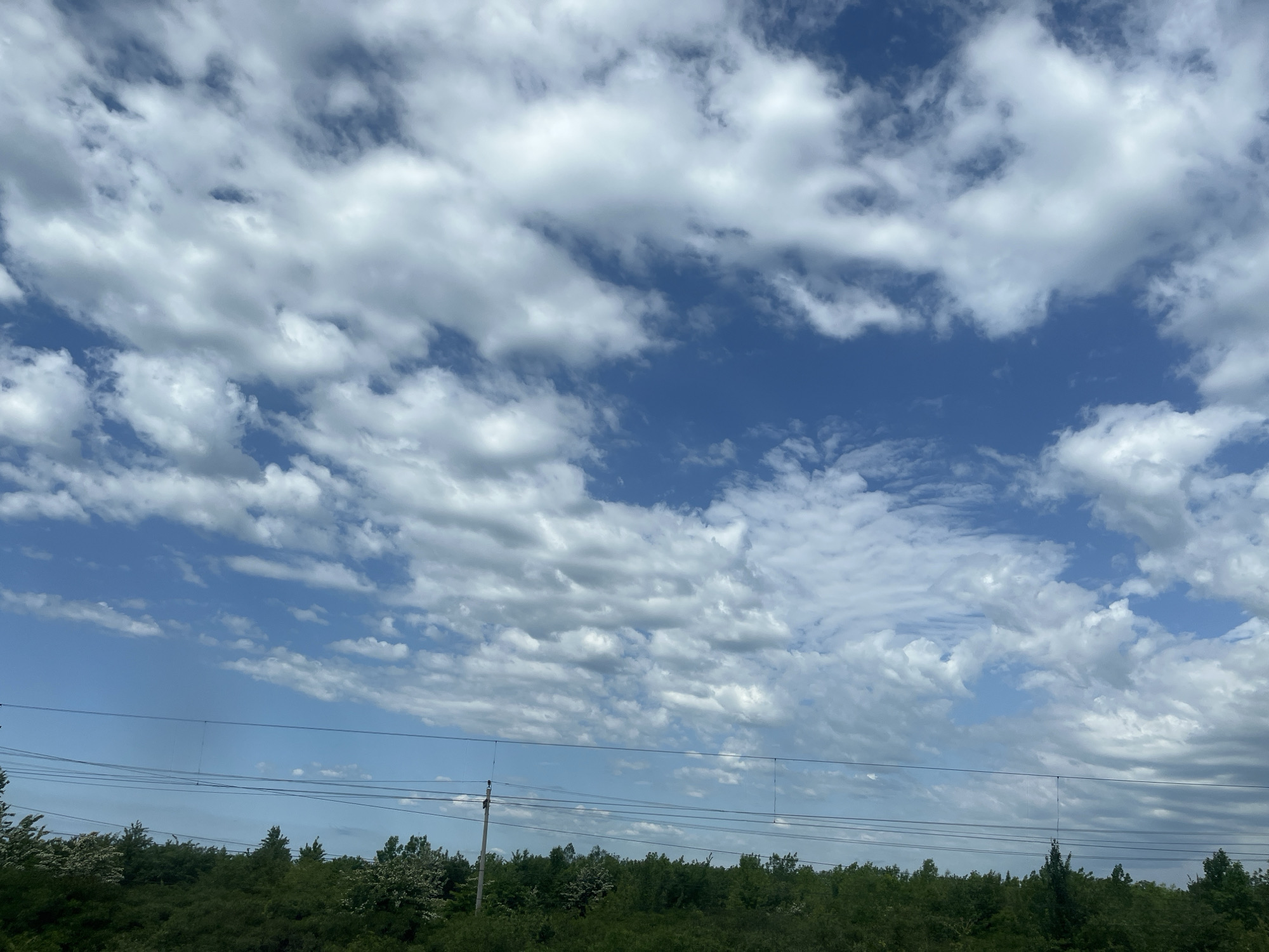 The image shows a daytime view of the sky over Psekups, Russia. The sky is predominantly blue, with a scattering of white cumulus clouds. At the bottom of the frame, there's a line of trees and vegetation. Power lines stretch across the scene horizontally, in the space between the trees and the sky. There are no people visible in the image. The scene is outdoors and appears to be during daylight hours.