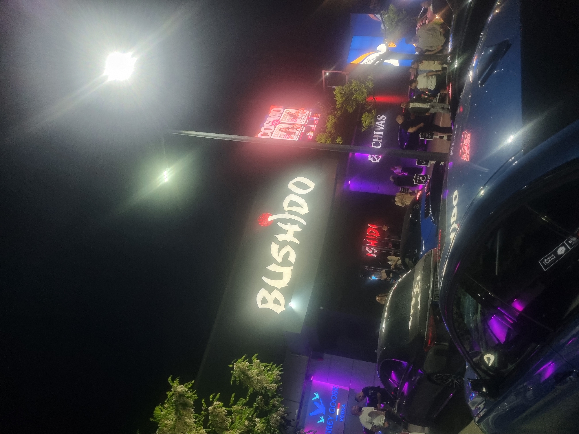 At night, the camera captures an urban scene focused on the "BUSHIDO" nightclub in Plovdiv, Bulgaria. The brightly illuminated signage for the nightclub dominates the frame, along with advertisements for "COSVIO," "GREY GOOSE VODKA," "ISHIDO," and "CHIVAS." Several individuals are present, primarily near the entrances or in proximity to parked cars. Cars are prominently featured in the foreground, with headlights casting reflections. The lighting suggests it's nighttime, with artificial lights illuminating the area and the vegetation in the foreground. Signs with texts such as "Yuse glo VELO" are also visible.