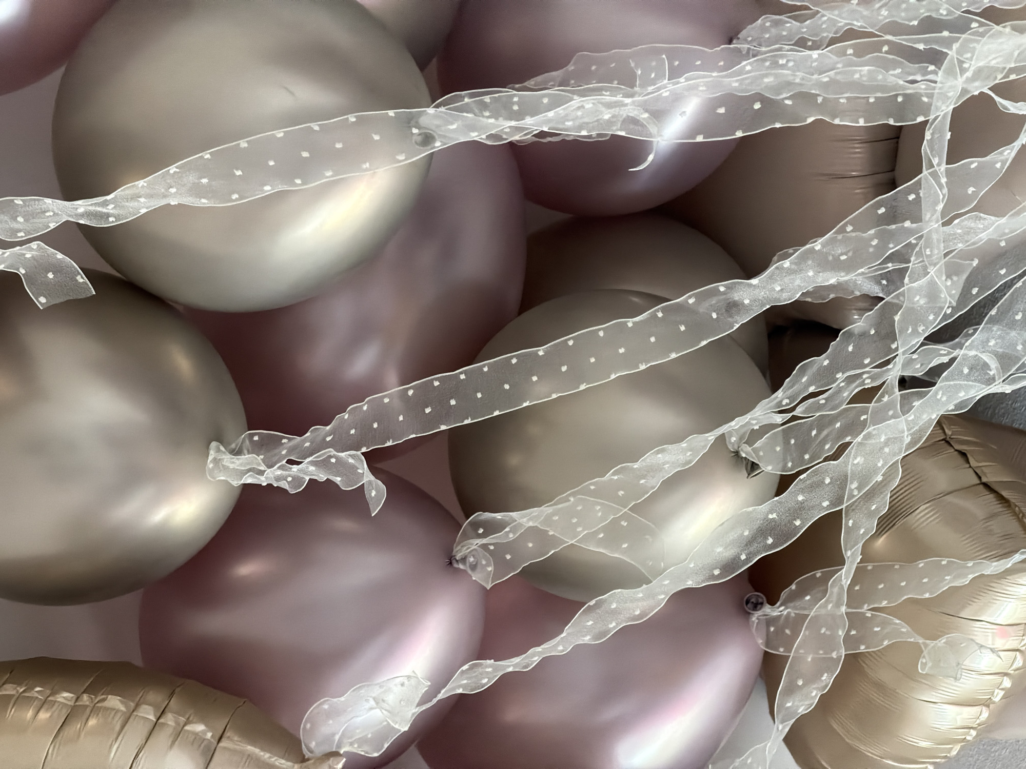 This close-up, top-down image showcases a festive arrangement of balloons, likely part of a decoration for an event in Moscow, Russia. The composition is filled with various balloons in a palette of soft, muted, and metallic tones, primarily pink/mauve, silver, and gold/champagne.
The majority of the balloons are round and possess a smooth, lustrous, and slightly pearlescent or metallic finish, reflecting light softly to create highlights and shadows that define their spherical forms. Interspersed among these are some gold-colored balloons that appear to be made of foil, characterized by their textured, crinkled surfaces and more angular, possibly heart or star-like, shapes, though their full forms are not visible.
Draped across and tied around the balloons is a delicate, sheer white or off-white ribbon. This ribbon features a repeating pattern of small, faint polka dots and is often crinkled or ruffled, adding an element of soft texture and intricate detail to the arrangement. The ribbons are tied in simple knots around some balloons, suggesting they are holding the cluster together or serving as decorative accents.
The lighting is soft and diffused, enhancing the balloons' sheen and the ribbon's transparency. There is no visible text or direct indication of the time of day, but the setting appears to be indoors due to the controlled lighting and close-up focus on the decorative elements. The overall impression is one of elegance, celebration, and joy.