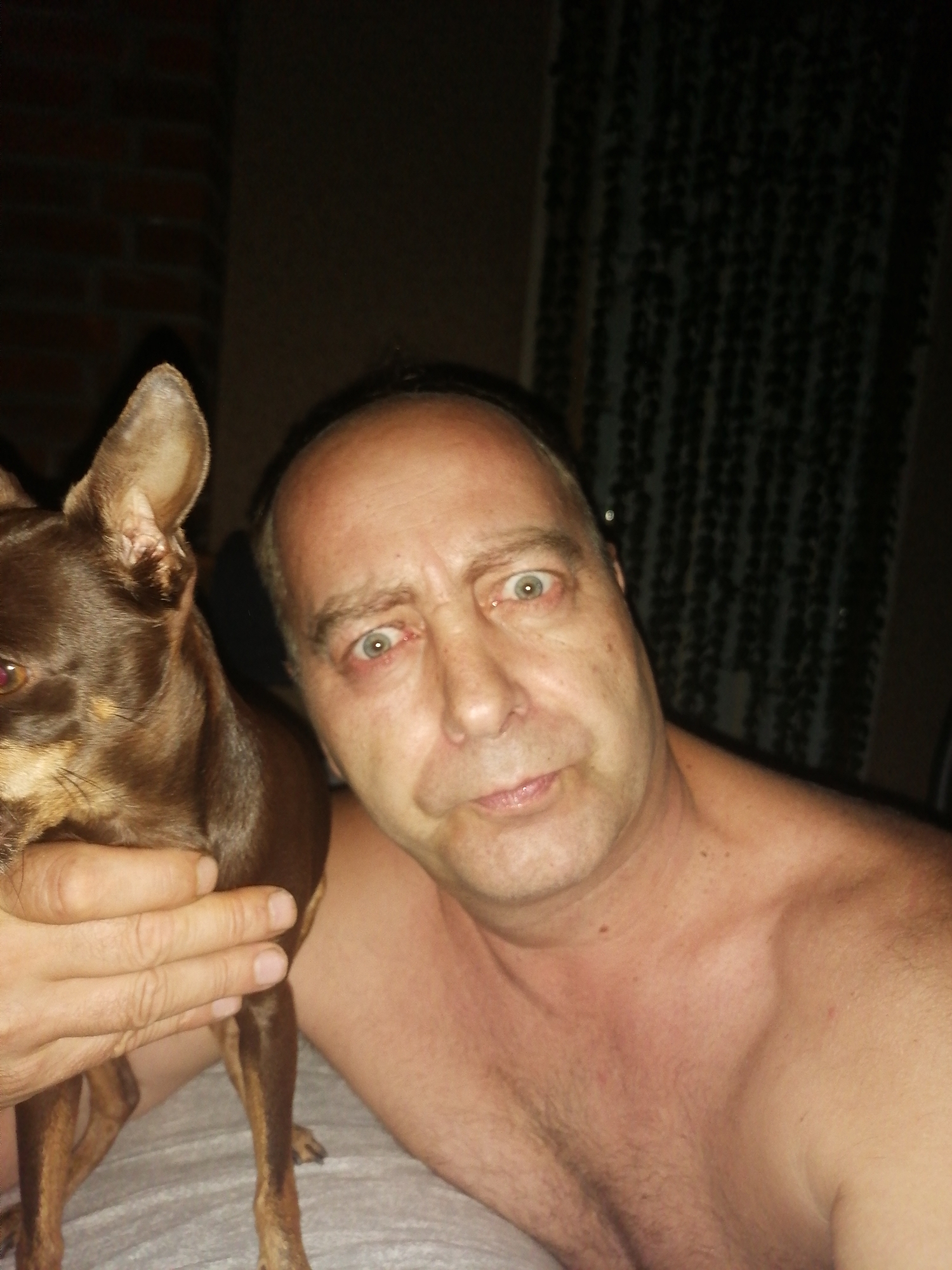 A close-up selfie shows a fair-skinned man with thinning brown hair holding a small brown dog. The man's eyes are open and looking at the camera, and his mouth is slightly open. The dog is held close to the man's chest, with its head tilted up. The background is dark, with a brick wall on the left and a patterned curtain on the right. The scene appears to be indoors.