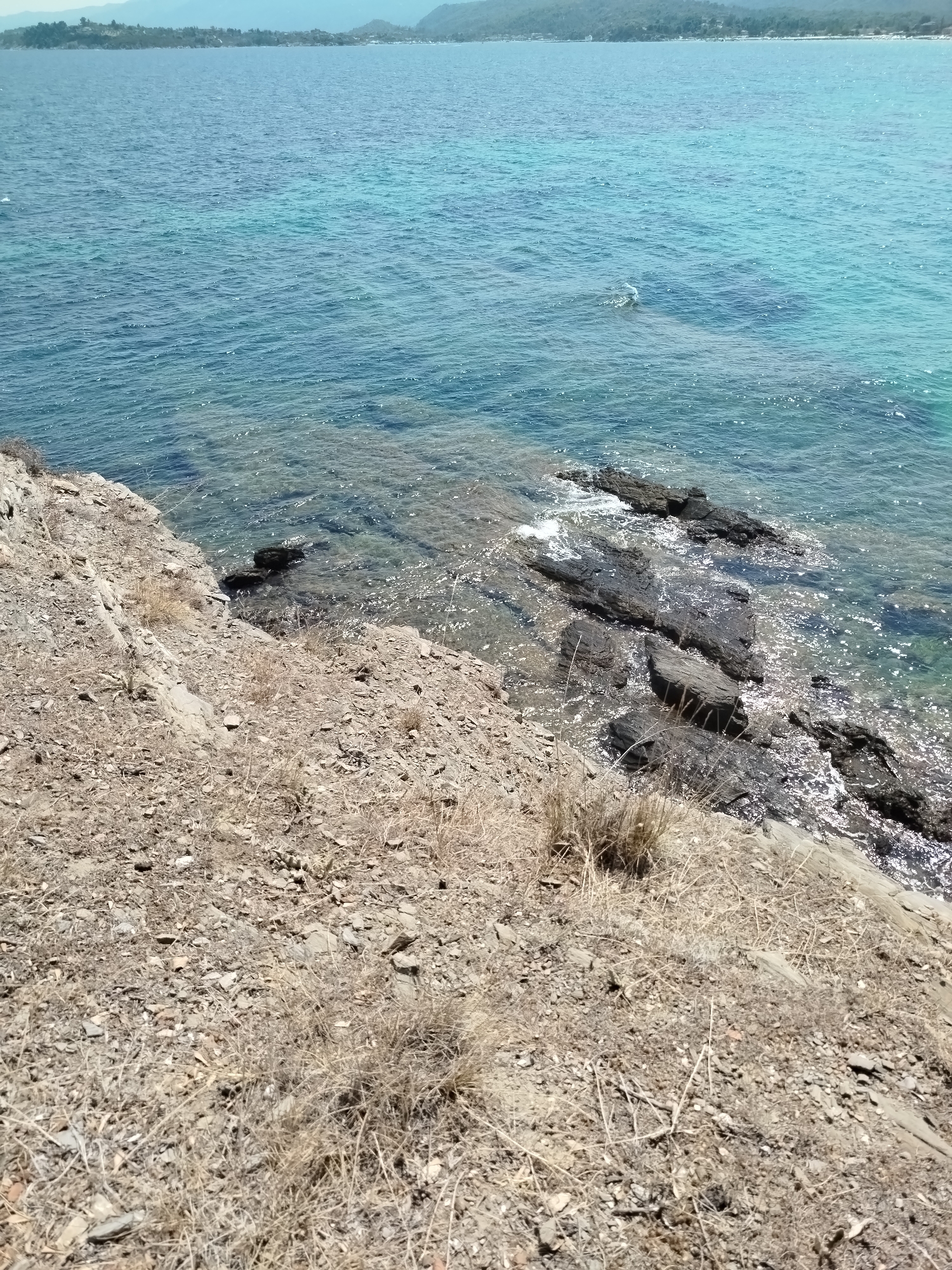The image shows a coastal view in Sithonia Municipal Unit, Greece. The foreground is a dry, rocky slope with sparse, dry vegetation. The middle ground features dark, wet rocks protruding into the clear, turquoise sea. The water is calm with small ripples, and sunlight reflects off the surface. In the distance, across the sea, is a tree-covered coastline with faint outlines of buildings. The sky is a pale blue, suggesting a clear day. There are no people or animals visible in the image.