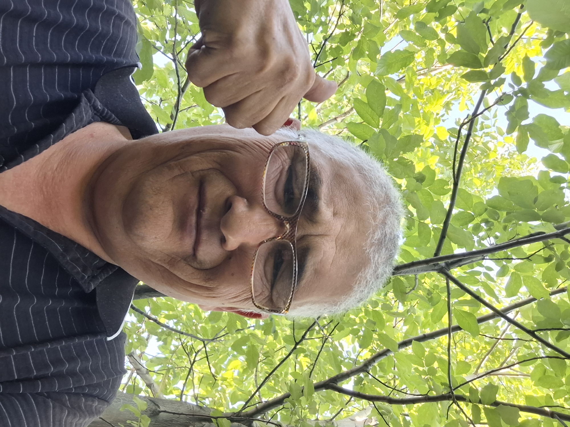 A low-angle, medium shot shows a man with graying hair and glasses outdoors, giving a thumbs-up. He is wearing a dark polo shirt with white stripes. The background is filled with green leaves and tree branches, suggesting he is in a park or forested area within the city of Almaty, Kazakhstan. The lighting indicates it is daytime.