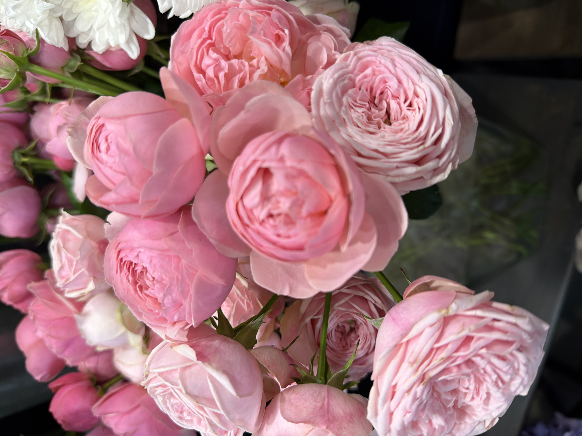 A close-up shot shows a bouquet of pink roses and some white flowers. The roses vary in bloom, from tightly furled buds to fully opened blossoms, showcasing layers of delicate petals. Some roses are a soft blush pink, while others are a deeper, richer pink. Interspersed among the roses are several white flowers, likely chrysanthemums, with numerous small, tightly packed petals. The background is dark and out of focus, drawing attention to the floral arrangement. The lighting is soft, highlighting the textures and hues of the flowers. The scene appears to be an indoor setting, possibly a flower shop or a home.