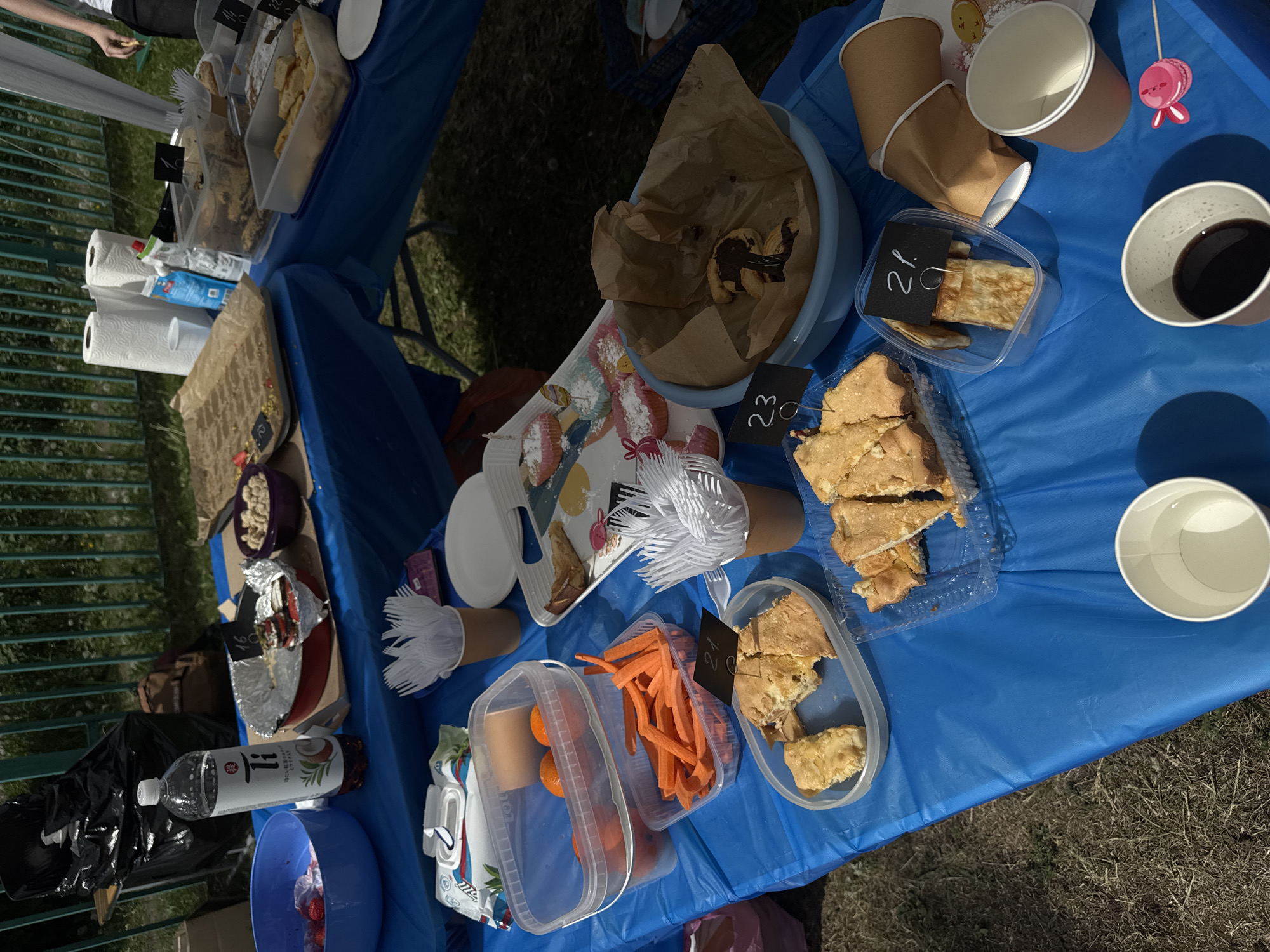 The image shows a table covered with a blue plastic tablecloth. The table appears to be outdoors, on a grassy surface. Various food items are arranged on the table, including pastries, sliced oranges and carrots in plastic containers, and a bowl of strawberries. There are also paper cups, plates, and plastic forks. A bottle of water and paper towels are present. Small price tags in Polish currency can be observed near some of the food items. Based on available information, it's impossible to confirm the exact location as Moscow, Russia.