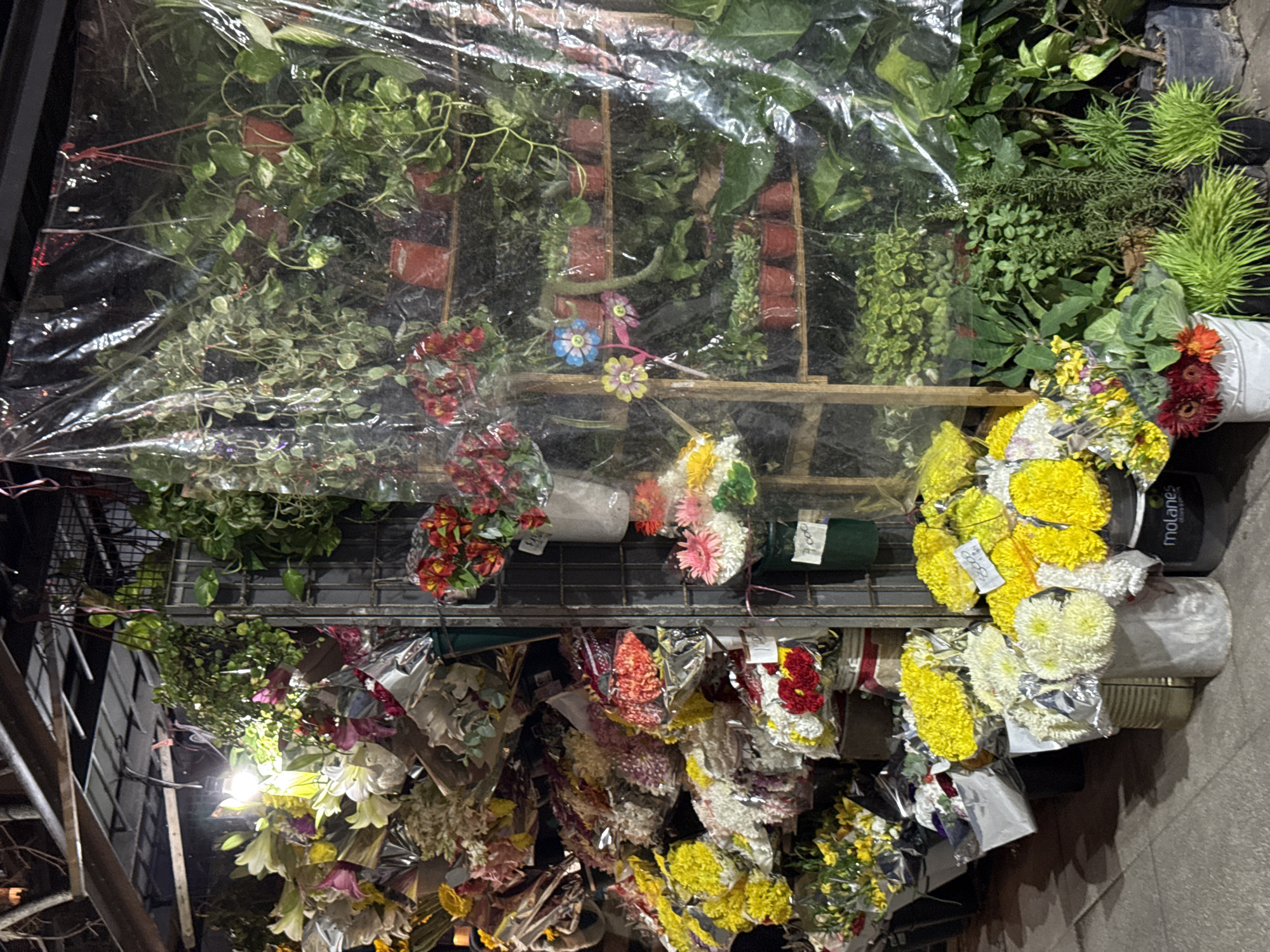 The image shows a street-side florist in Buenos Aires, Argentina. The flower stall is covered in plastic sheeting, possibly to protect the plants and flowers from weather. There are two tiers of flowers visible. The top tier contains potted plants and cut flower arrangements in vases. The bottom tier features bouquets wrapped in cellophane. The flowers are a variety of colors, including red, yellow, white and pink. The stall is illuminated by artificial lighting. The environment is an urban street with a sidewalk.