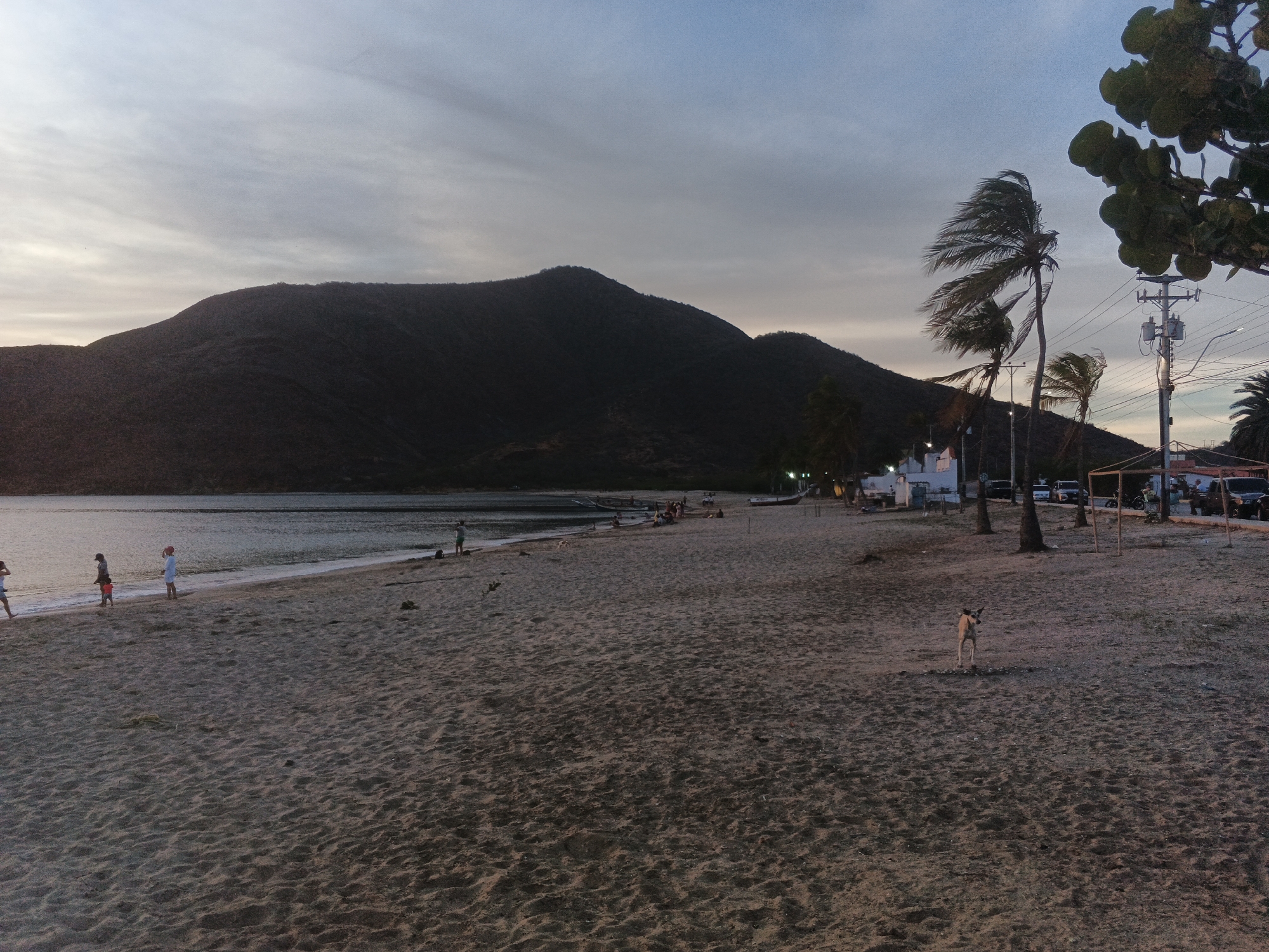 The image depicts a sandy beach with a body of water in the background. The sky is overcast with a pale gradient from light blue to gray, suggesting it is either early morning or late evening. Silhouetted against the sky are dark, undulating hills or mountains. Several palm trees are scattered across the beach, with some leaning due to the wind. In the distance, a few buildings and power lines are visible, indicating some development along the coastline. On the beach, there are several people, including some children walking near the water's edge. One person is standing by the water, and further down the beach, a group of people are gathered. A dog is also visible on the sand in the foreground, standing and looking towards the viewer. The sand is a light brown color, with visible textures and ripples. Some debris or vegetation is scattered on the sand. The overall scene is tranquil, with a sense of natural beauty combined with human activity and infrastructure.