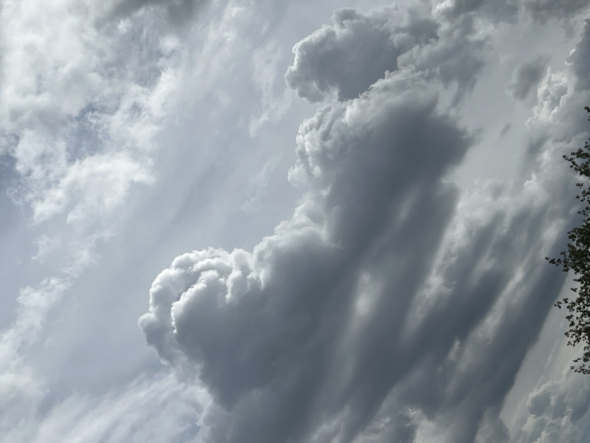 The image displays a dramatic sky filled with a variety of clouds, ranging from bright white, puffy cumulus formations to darker, more ominous storm clouds. The clouds occupy the majority of the frame, with only a sliver of dark green foliage visible at the very bottom, suggesting trees or bushes at ground level. The lighting indicates a day with variable cloud cover, possibly transitioning into or out of a storm. There are no people, structures, or distinct landmarks visible that would allow for specific identification of a location within Warsaw, Poland. The scene is entirely focused on the atmospheric conditions above.