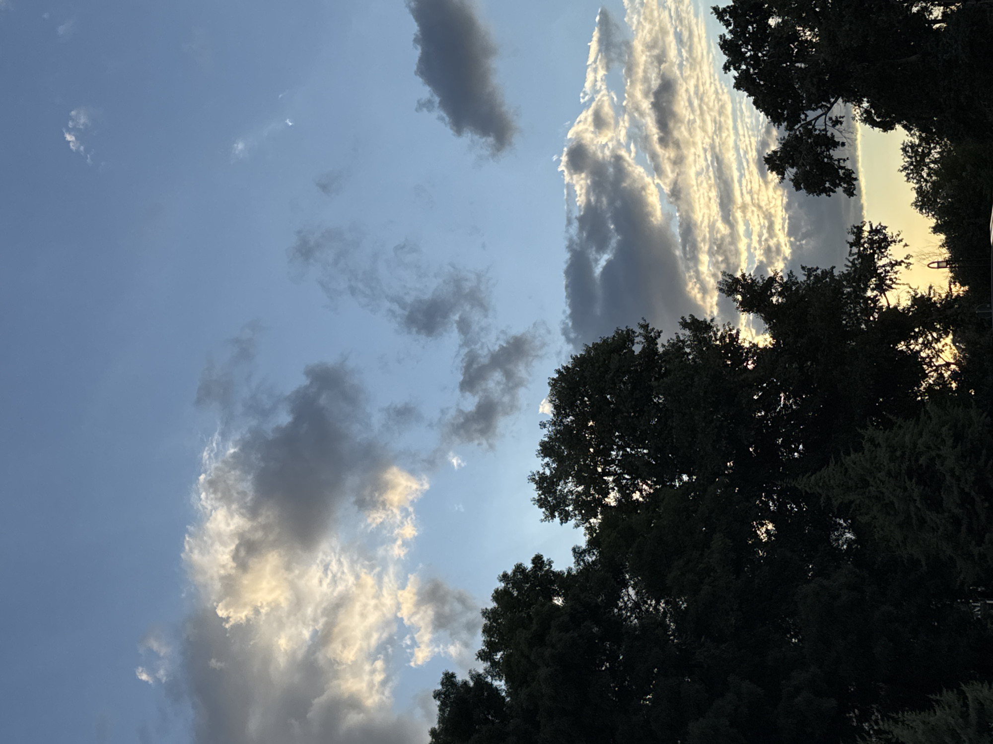 The image captures a twilight sky over Plovdiv, Bulgaria. The sky is a mix of light blue and grey clouds, with some areas illuminated by the setting sun, casting a warm glow. Silhouetted against the sky are the dark green tops of several trees, obscuring the lower parts of the landscape. The overall scene is serene, with a focus on the natural beauty of the sky and the surrounding trees.