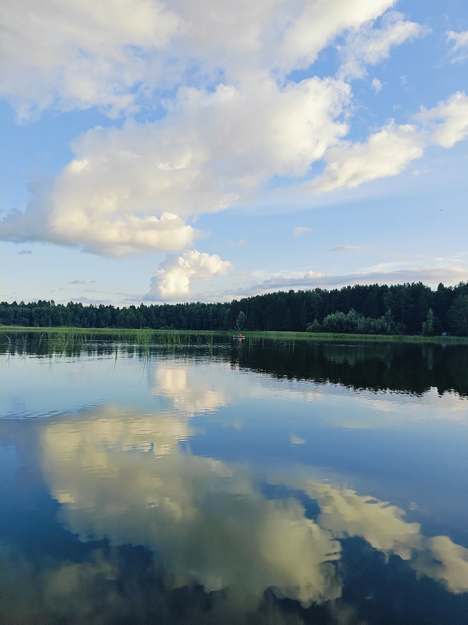 The image depicts a serene natural scene at the Kama River in Chaykovsky, Russia. The sky is a clear blue, adorned with fluffy white clouds that cast reflections on the calm surface of the water. A dense line of dark green trees forms the horizon, with tall reeds growing along the riverbank in the foreground. The water's surface acts as a mirror, reflecting the sky, clouds, and trees with remarkable clarity. A small boat with an orange life jacket can be seen on the left side of the river, with a person or two visible within it, suggesting recreational activity. The overall atmosphere is peaceful and tranquil.