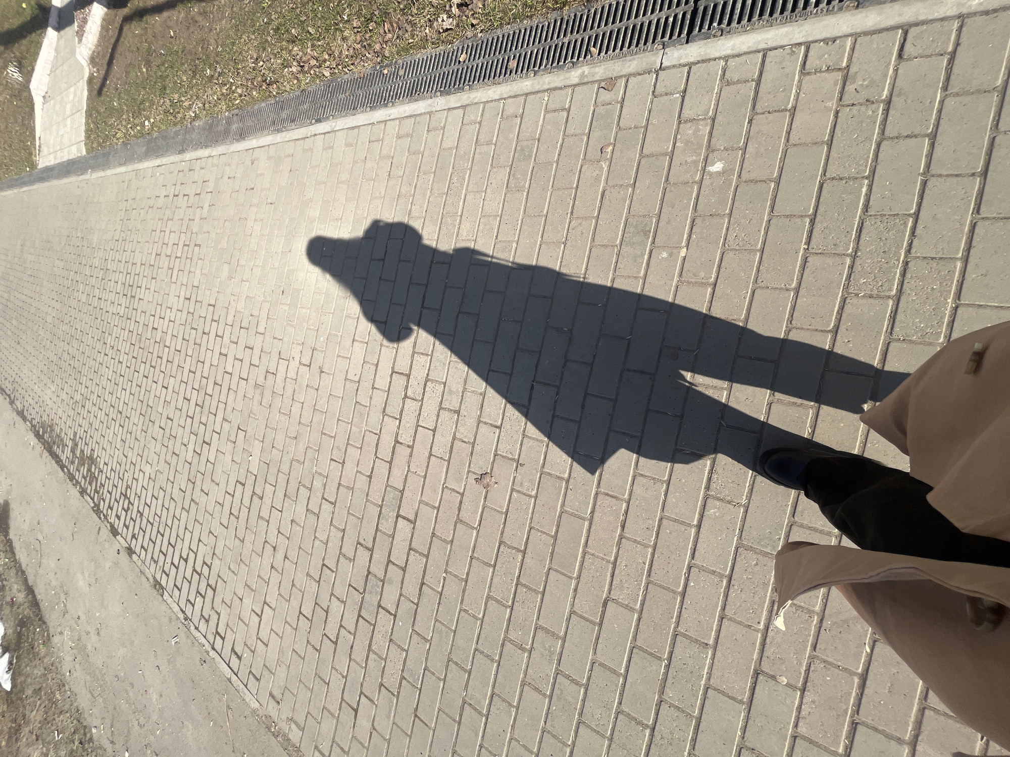 A high-angle shot captures a shadow of a person wearing a coat on a paved walkway. The walkway is constructed of rectangular gray bricks arranged in a running bond pattern. A strip of grass borders the walkway on one side, and a metal drainage grate runs along the edge. The person's legs and one foot are visible at the bottom right of the frame, partially obscured by the coat. The context clues of the location being Chaikovsky, Russia, are based on the source information. The image is likely taken in a park or public area in the city.