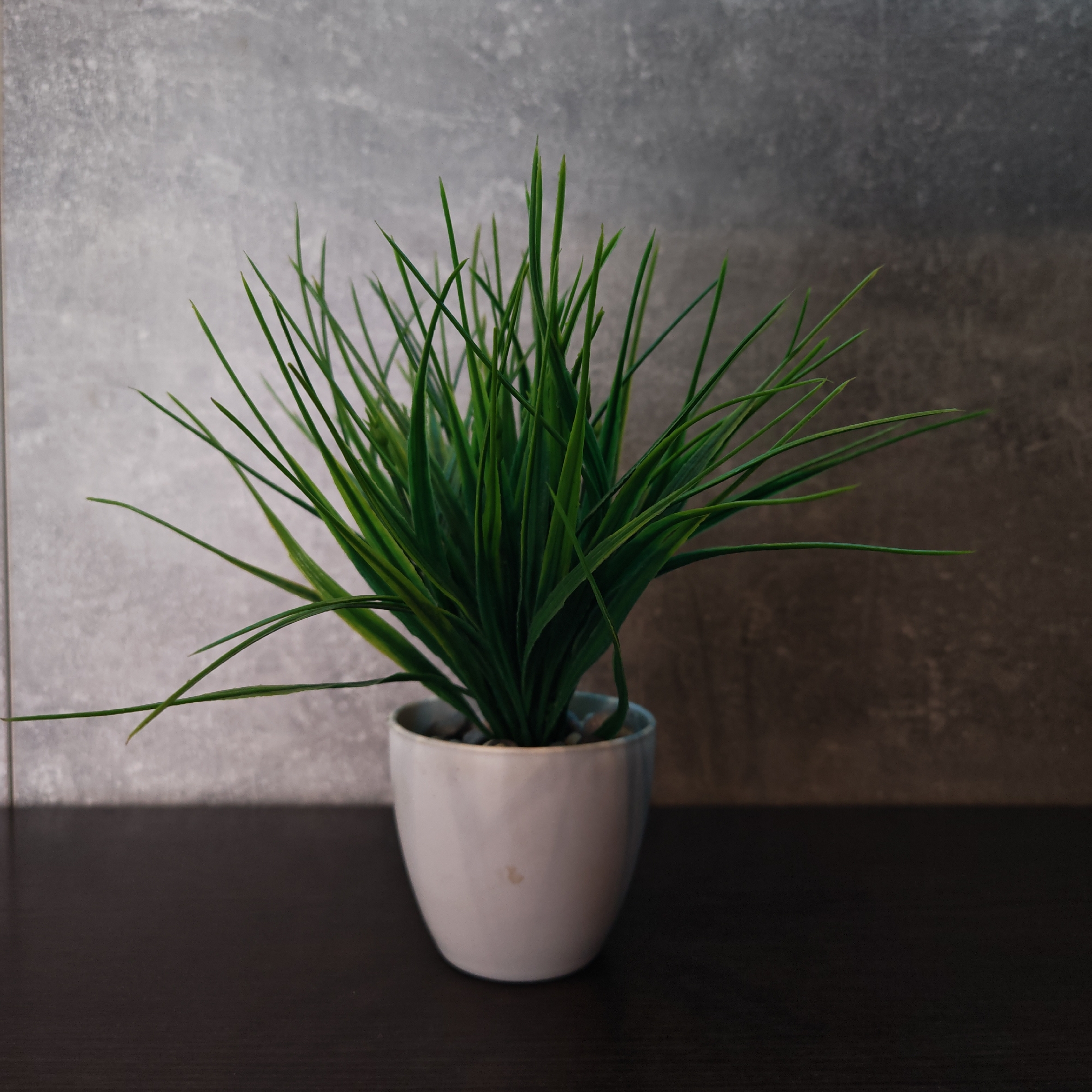 The image shows a potted plant with green, grass-like foliage in a white ceramic pot. The pot appears to contain small rocks or pebbles. The plant is set against a backdrop of a textured, neutral-colored wall. The surface the pot rests on appears to be a dark, possibly wooden, shelf or table.
There is no available information in the image about the city of Rostov, Russia.