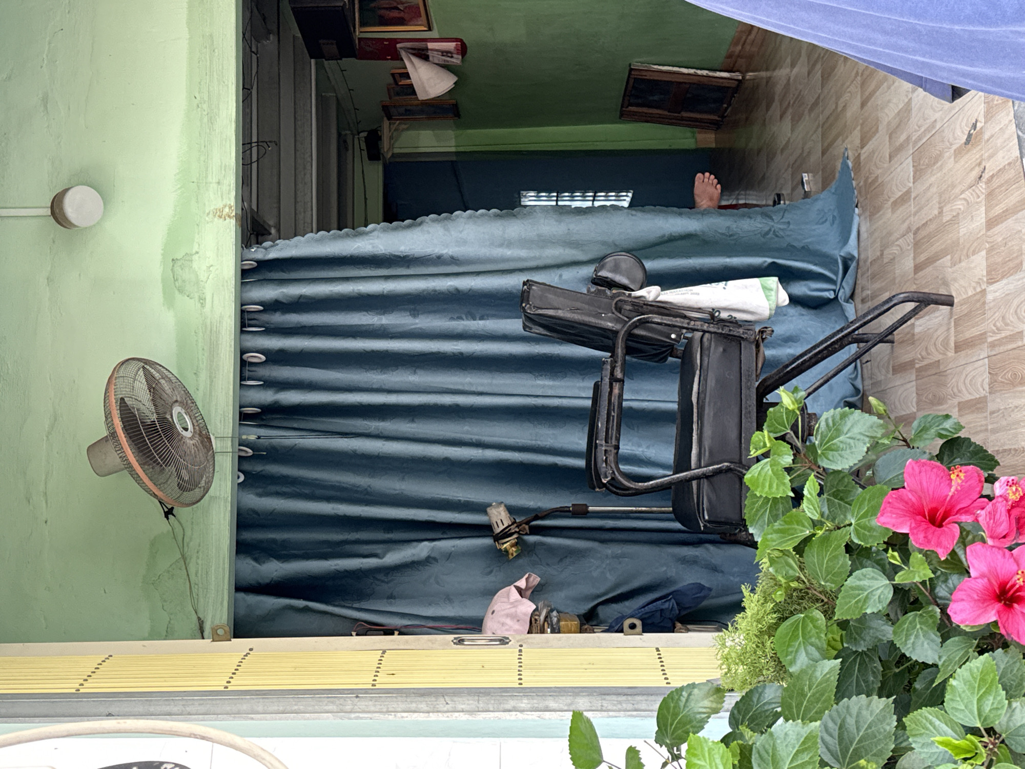 A barber shop in Bac Nha Trang Ward, Vietnam, is captured from an exterior perspective looking inwards through an open doorway. The shop's interior is partially obscured by a large, teal-colored curtain. Prominently featured is a black barber chair with a metal frame, positioned in front of the curtain. To the left of the chair, a floor-standing hair dryer with a silver nozzle is visible. Above the curtain, a ceiling fan is mounted on a pale green wall, and a round white light fixture hangs from the ceiling. In the foreground, lush green plants with bright pink hibiscus flowers add a touch of vibrant color to the scene. The flooring appears to be light-colored wood laminate. To the right of the barber chair, a portion of a person's leg and foot is visible as they stand behind the curtain. The walls of the shop are painted in varying shades of green, with some framed pictures hanging on the right-hand wall.