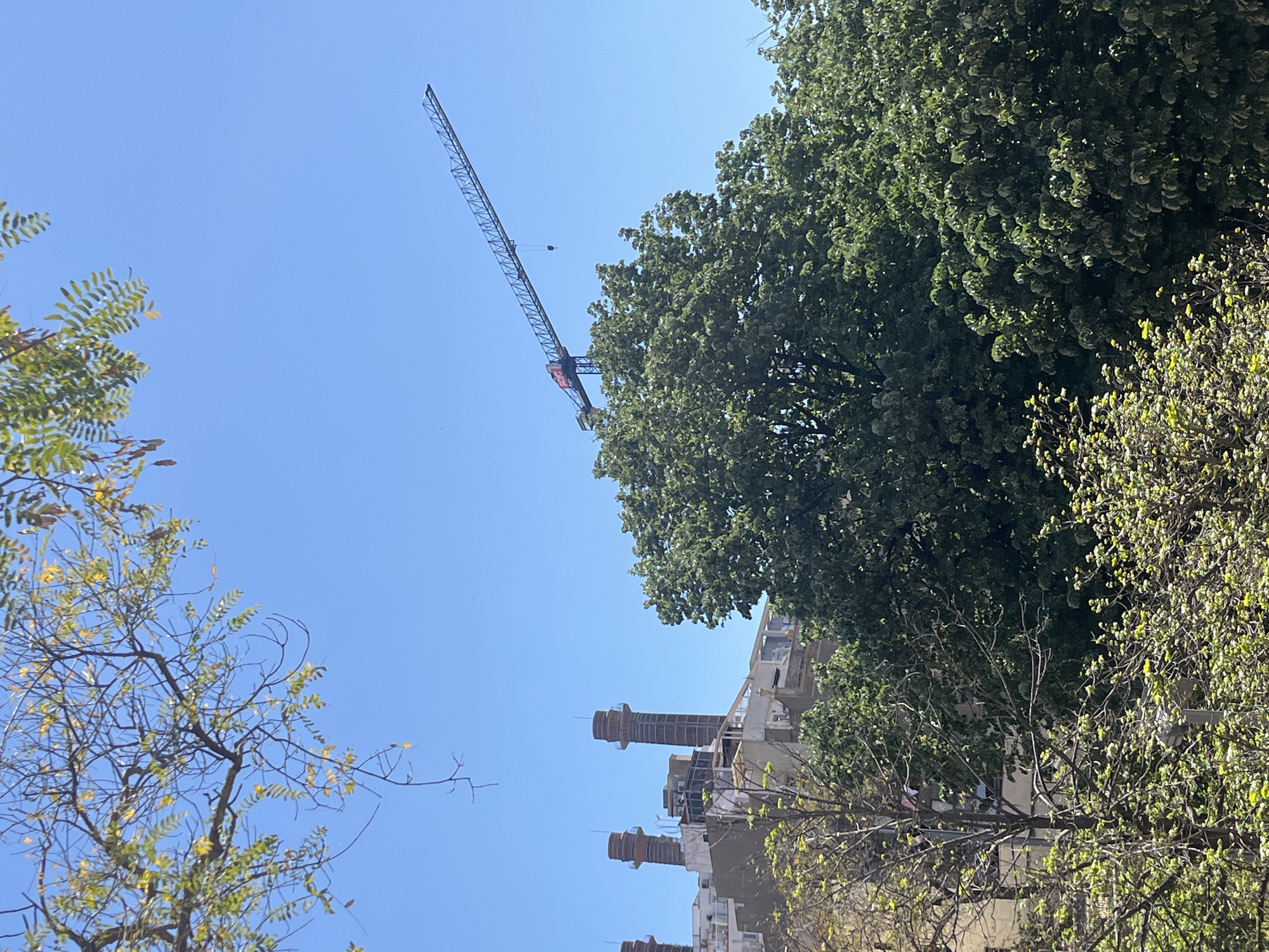 The image, viewed horizontally, presents an urban landscape under a clear, bright blue sky, suggesting daytime with good weather. A large construction crane, featuring a dark-colored lattice structure, extends diagonally across the upper left and central portions of the frame. A hoist mechanism is visible along its arm, and there's a faint red and white logo or text, possibly "DIGEL," near its base.
Dense, green tree foliage occupies significant parts of the image. A prominent, dark green tree canopy covers much of the right side and extends towards the center. In the lower left, another tree with sparser branches and lighter, yellowish-green leaves is visible, while a third, smaller tree or bush with vibrant, fresh green leaves appears in the lower right.
In the midground, beneath the trees, several buildings are visible, indicating an active construction or renovation site. Distinctive architectural features include at least two, possibly three, cylindrical, multi-story tower-like structures with horizontal rings, made of a light-colored material, standing against the skyline. Other building sections appear to be unfinished or undergoing work.
The overall scene captures a moment of urban development in what is identified as Barcelona, Spain, characterized by the interplay of natural elements and human-made structures. No individuals or specific events are clearly discernible.