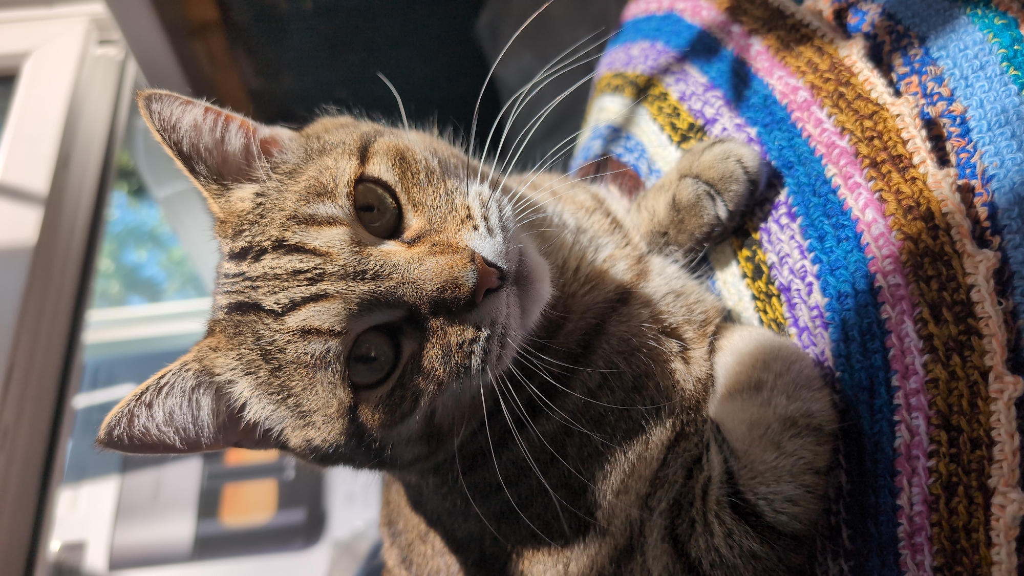 A close-up, eye-level, medium shot captures a tabby cat with green eyes and prominent white whiskers resting on a colorful, crocheted blanket. Sunlight illuminates the cat's face, creating a dappled pattern of light and shadow. The background is softly blurred, showing a window with natural light and hints of greenery outside. The cat's paws are crossed in front of it, and it appears relaxed. There is no indication of the location in Nizhny Novgorod, Russia.