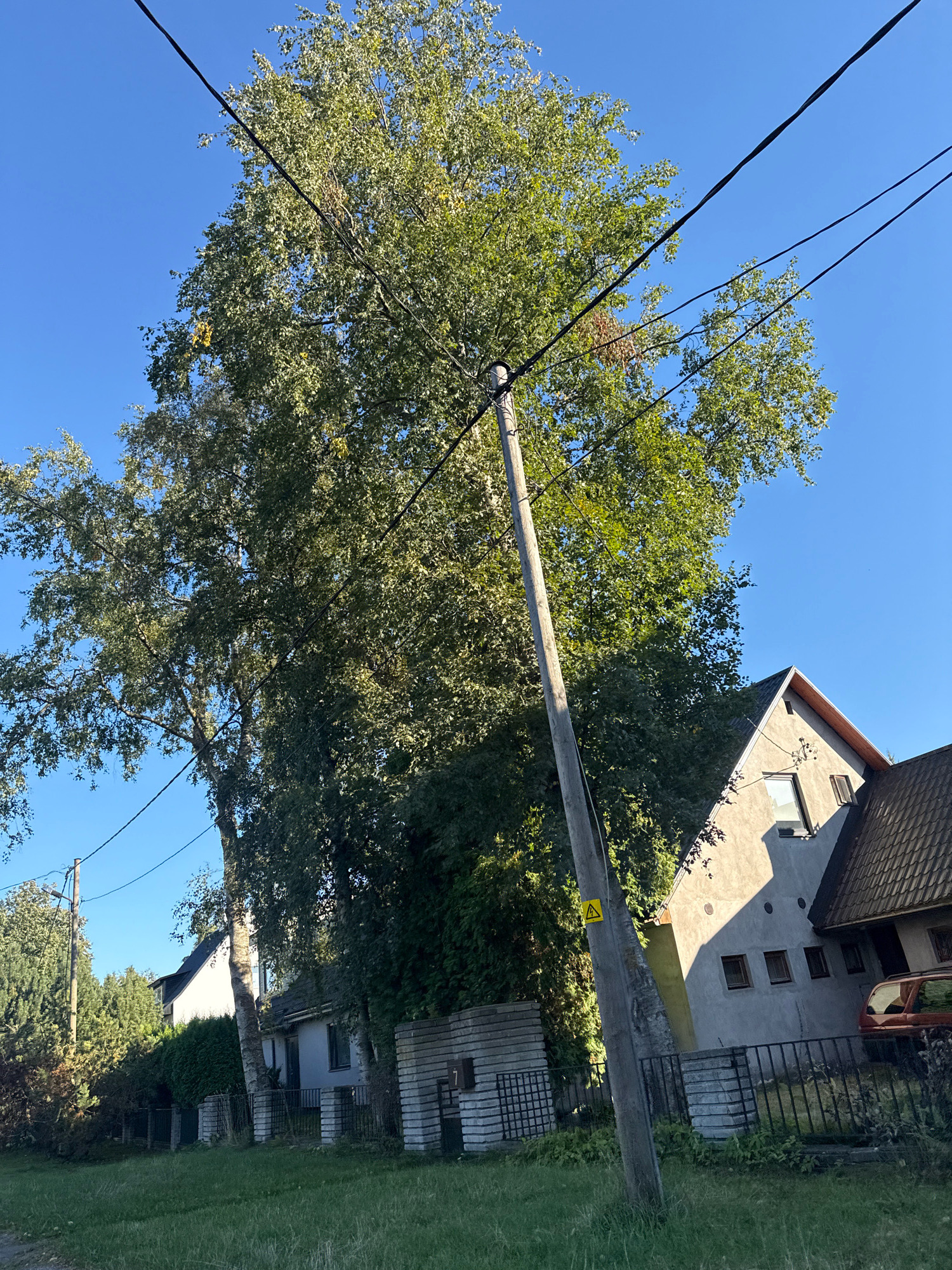The image depicts an outdoor scene under a clear blue sky, likely in a residential area of Tallinn, Estonia. In the foreground, a grassy area transitions into a gravel path. A weathered, slanted wooden utility pole stands prominently to the right of center, with a yellow warning sign affixed to it. Overhead, black utility wires are strung across the frame, crisscrossing above a large, leafy tree that dominates the left and central portions of the image. Behind the tree and utility pole, a light-colored building with a dark-tiled roof is visible, featuring several windows and a gabled section. A dark metal fence runs along the property line. Further in the background, more trees and residential structures are discernible. The overall impression is a somewhat overgrown, semi-urban environment.