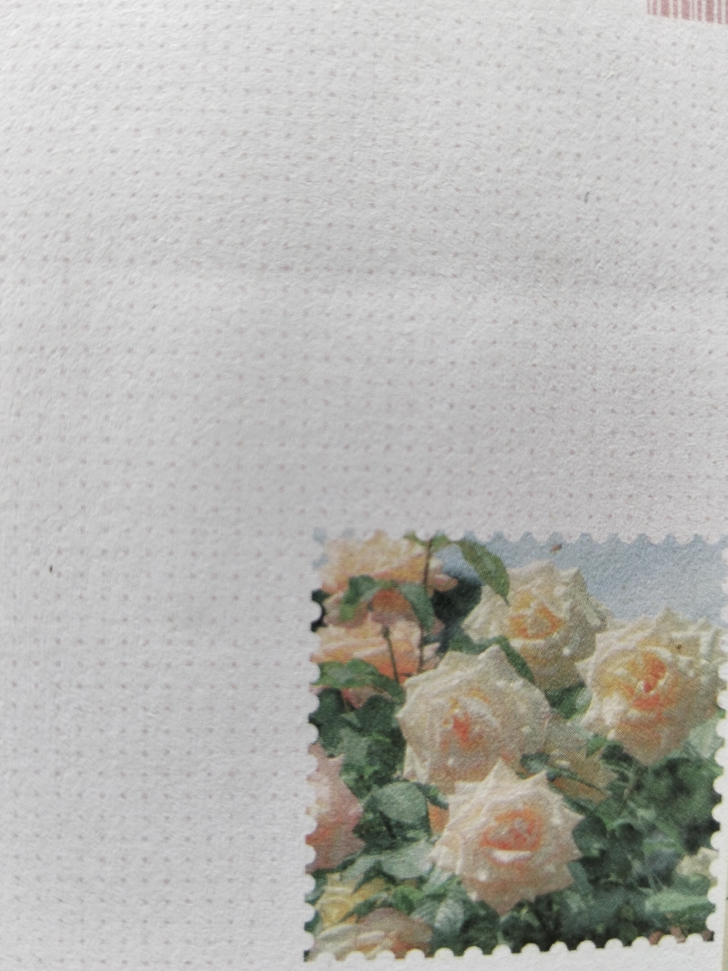 The image displays a close-up of a postage stamp featuring a bouquet of light-colored roses with green foliage. The stamp has a perforated edge. The background of the stamp appears to be a light blue sky. The rest of the image is a textured white surface, possibly paper or fabric, with a pattern of small, evenly spaced dark dots. There is no discernible location information for Payagaboh, Indonesia within the image.