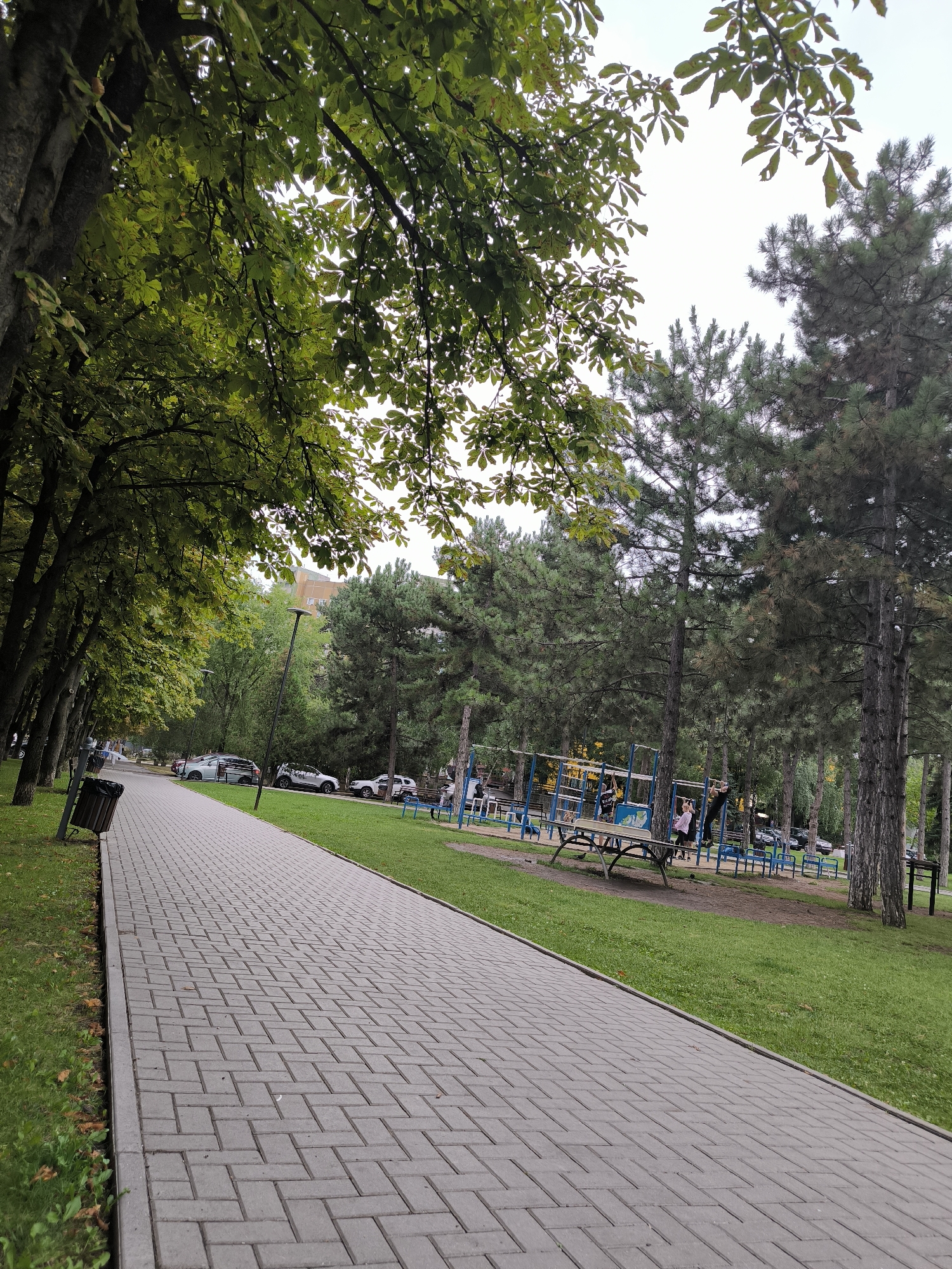 The image depicts a paved pathway in a park, bordered by lush green grass and a line of trees. The pathway is constructed from grey rectangular pavers arranged in a herringbone pattern. To the left of the pathway, a trash receptacle is visible. Beyond the grass and pathway, several parked cars are present, suggesting the park is accessible by vehicle. In the background, a playground area with blue metal structures and benches is set among tall pine trees. A few individuals are present on or near the playground equipment. The foliage of the trees overhead is dense and green, with some leaves beginning to show hints of autumn color. The sky is overcast. Based on the style of architecture visible in the background, this park is likely located in Chișinău, Moldova.
