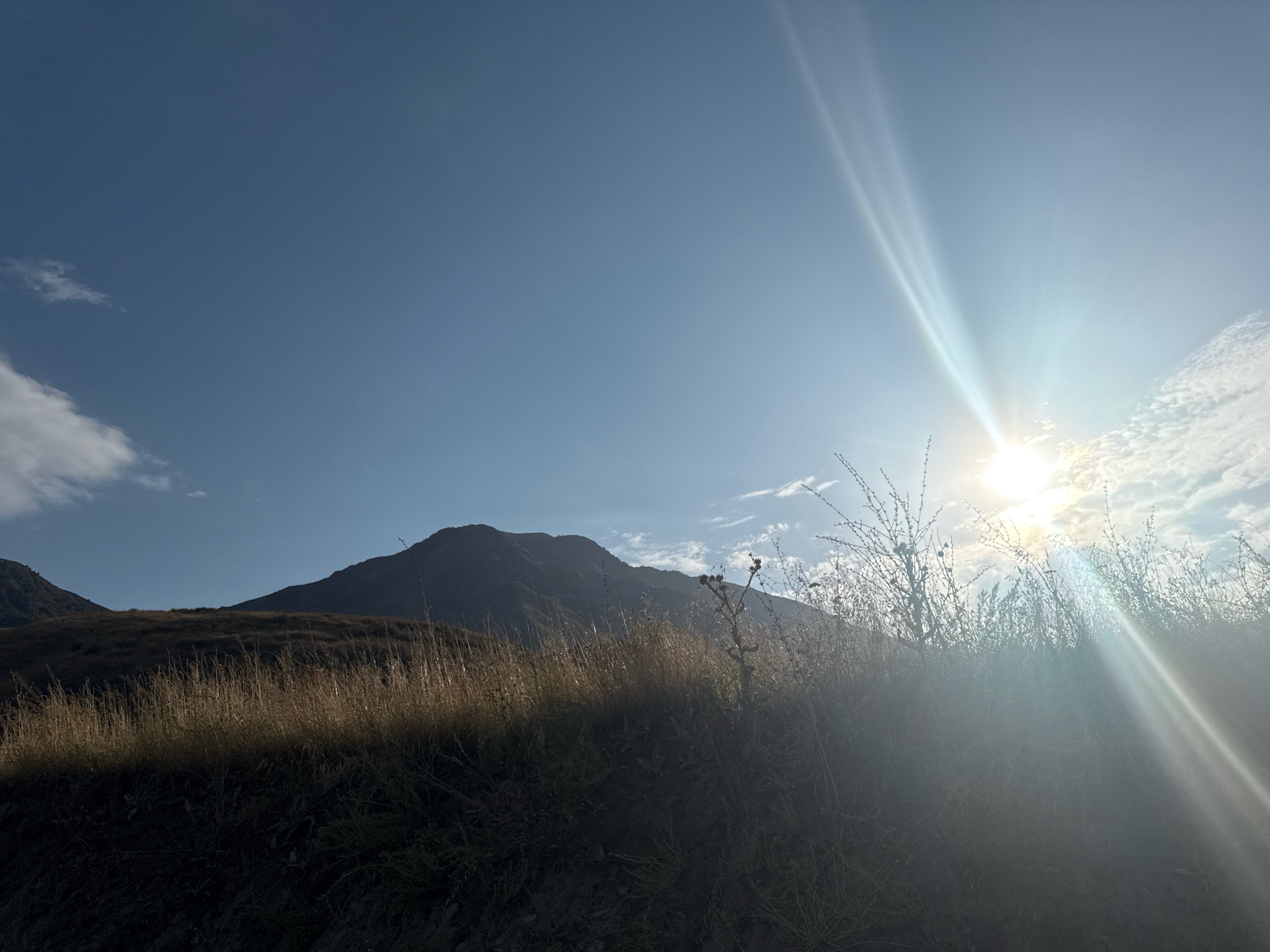 The image depicts a sun-drenched mountainous landscape, likely in Arashan, Kyrgyzstan. The foreground is dominated by dry, golden grass and dark, shadowed ground, suggesting an arid or autumnal environment. In the mid-ground, a chain of dark, hulking mountains rises against a clear blue sky. The sun is intensely bright, positioned high in the sky to the right, casting strong lens flares and illuminating scattered white clouds. The overall impression is one of natural grandeur and solitude, with no human presence or activity visible. The lighting indicates it is likely daytime, possibly late morning or early afternoon, given the high angle of the sun.