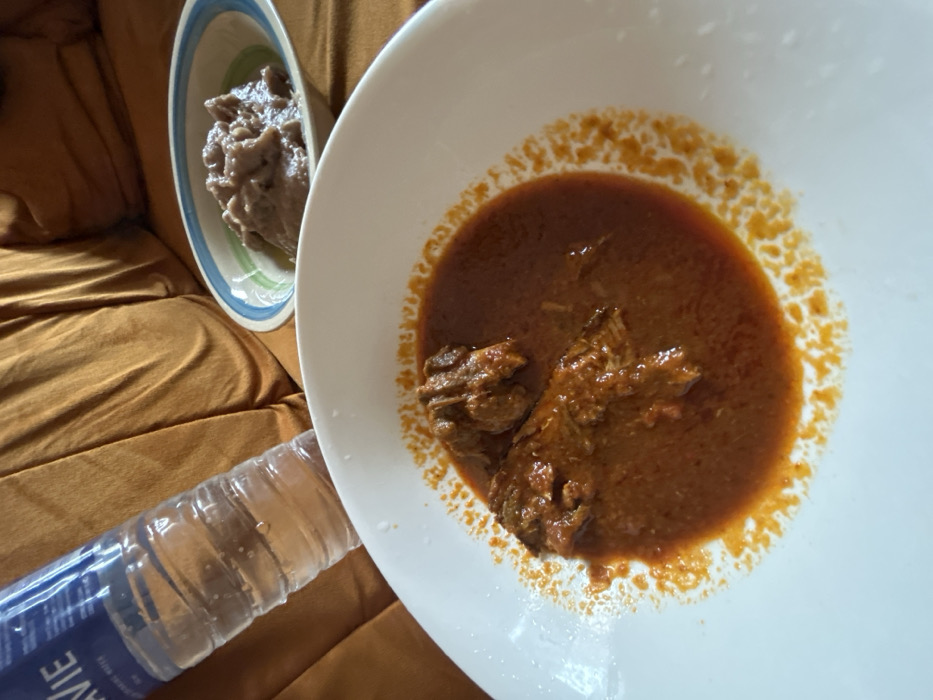 A white bowl contains meat in a thick, reddish-brown sauce. Next to it, a smaller bowl holds a gray, lumpy substance. A partially visible bottle of water lies alongside the bowls. The background appears to be a gold-colored upholstered surface, possibly a sofa or cushioned chair.
