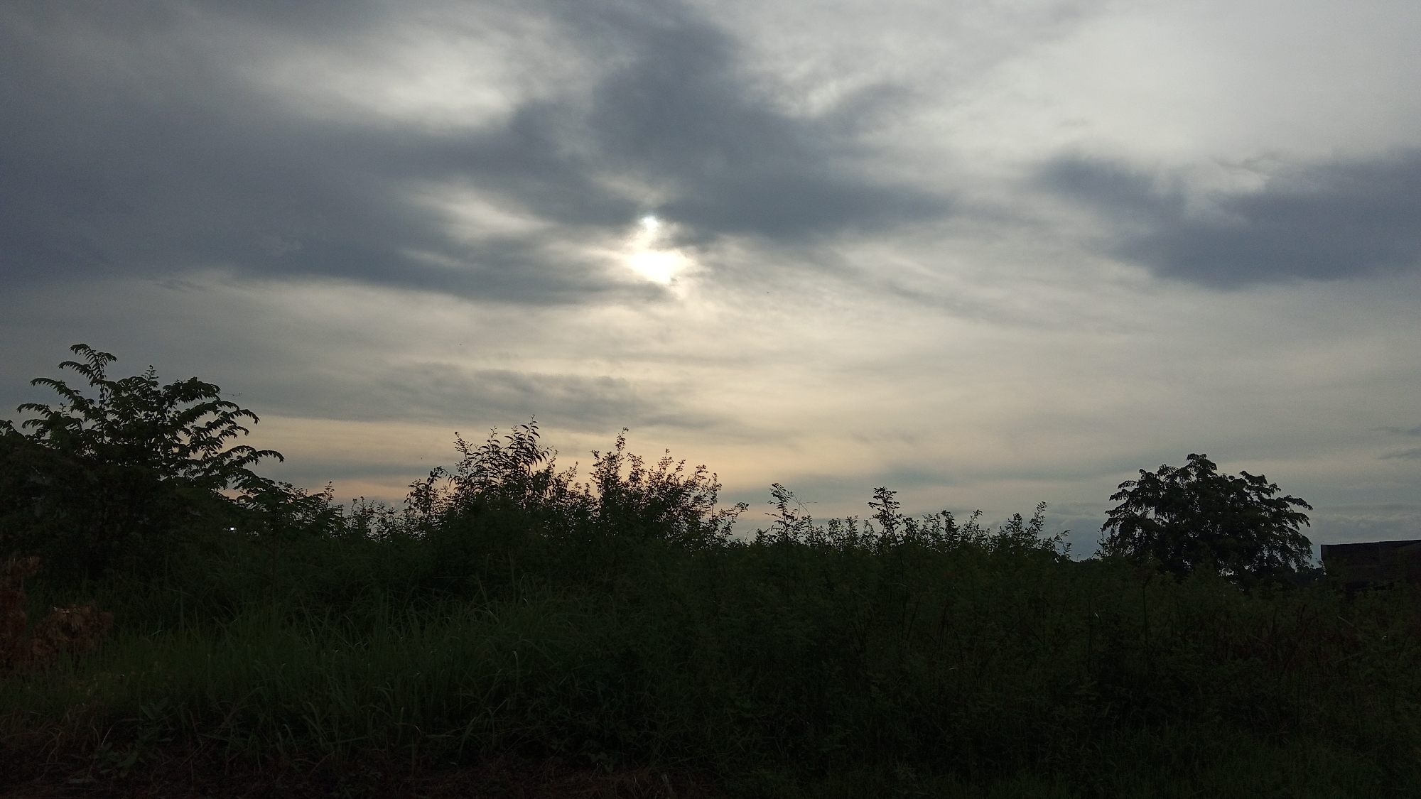 The image depicts a landscape scene with a cloudy sky over a dense area of foliage. The sun is partially visible, breaking through a gap in the clouds, casting a soft light. In the foreground, there is a thick growth of grass and various plants, creating a dark, silhouetted band across the lower portion of the frame. Several trees with leafy canopies are scattered throughout the scene, some appearing to be in the mid-ground and others further back. The overall impression is of a natural environment, possibly a rural or semi-rural setting. The location is identified as Uteunreutoh, Indonesia. There are no people or specific objects of human construction visible, apart from a hint of what might be a building structure on the far right edge of the image. The lighting suggests either early morning or late afternoon.