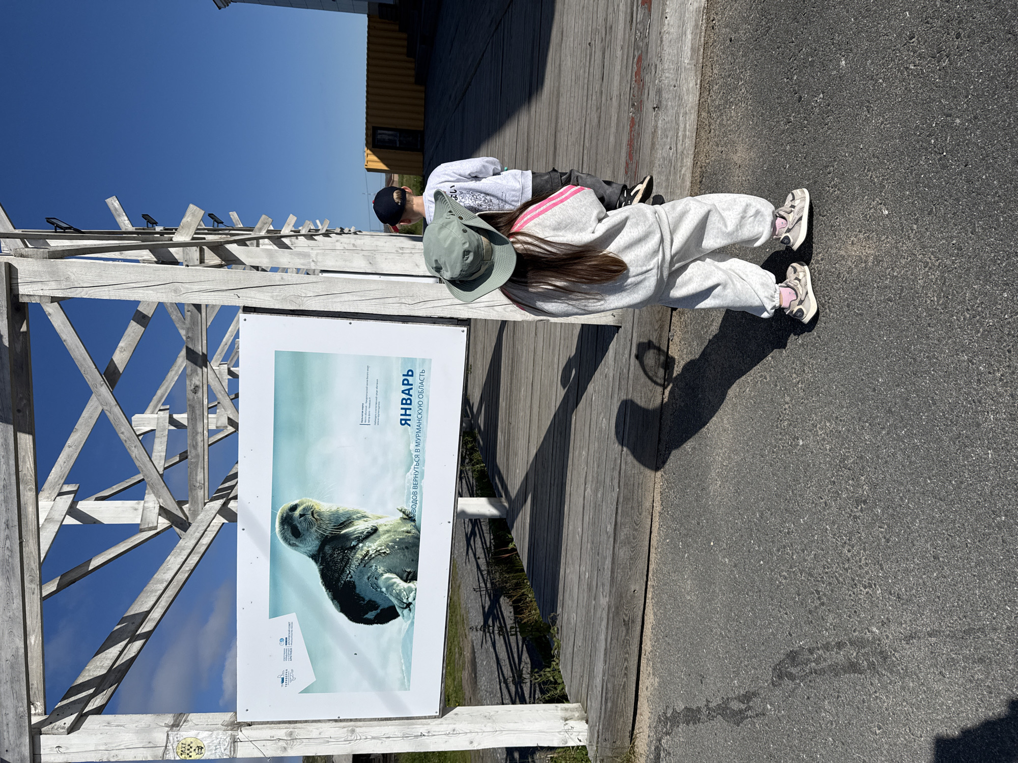 A child in a gray tracksuit and a wide-brimmed hat stands facing away from the camera on asphalt, looking at a large informational sign. The sign features an image of a seal on ice and text in Russian. Behind the child, a boy wearing a dark baseball cap and a sweatshirt also faces away from the camera, looking towards the sign. The scene appears to be outdoors in Teriberka, Russia, with a wooden boardwalk structure behind the children and a yellow shipping container visible in the distance. The sky is blue with scattered clouds.