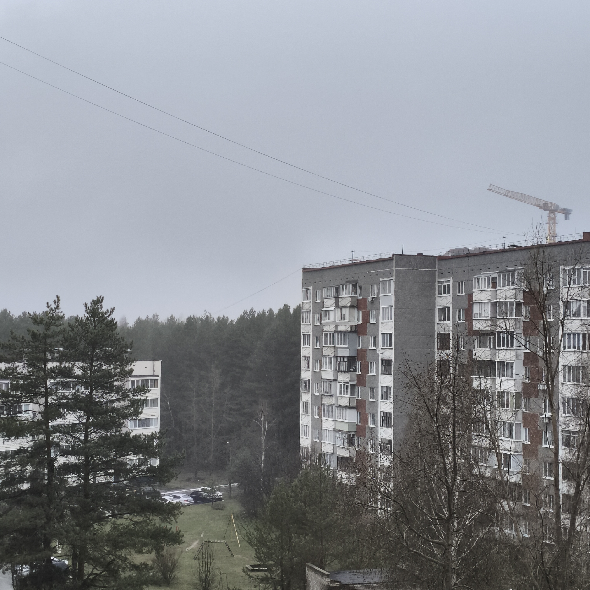 The image presents an overcast, subdued view of a residential area in Chaikovsky, Russia, during what appears to be late autumn or early spring. The scene is dominated by multi-story apartment buildings, characteristic of Soviet-era architecture.
To the left, a light-colored residential block is partially visible, framed by large, dark green pine trees that stand prominently in the foreground. On the right, a larger, darker grey concrete apartment building features numerous windows and enclosed balconies, with some sections showing brown and white paneling.
A dense, hazy line of coniferous forest forms the backdrop across the mid-ground, suggesting the urban area borders extensive woodlands. Scattered bare deciduous trees in the foreground and mid-ground reinforce the seasonal impression of leaflessness.
The sky is uniformly pale grey, completely overcast, and lacks any discernible features, contributing to the muted light. Two thin power lines stretch diagonally across the upper portion of the sky. In the far distance on the right, a yellow construction crane rises above the buildings, partially obscured by the atmospheric haze, hinting at ongoing development.
Below the buildings, a grassy area includes a simple metal playground structure. Several cars are parked on an asphalt patch near the base of the left building. No people are visible, and there is no discernible text in the image. The overall atmosphere is quiet and somewhat somber, typical of a dull, cool day on the edge of a city.