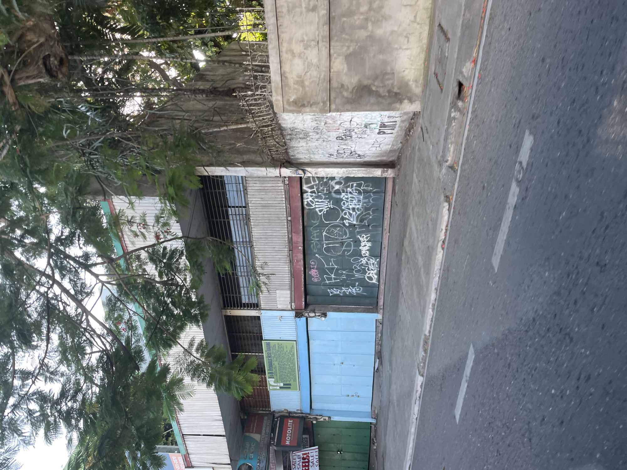 This is an outdoor street-level photograph taken in Davao City, Philippines, depicting a commercial street frontage under a bright sky, partially obscured by dense tree foliage. The scene features a two-story building on the left, characterized by white vertical siding on the upper floor and multiple ground-level commercial units. A light blue roll-up door centrally located on the lower floor is surmounted by a green and white sign identifying 'E&R HYDRAULIC HOSE TRADING.' To its immediate left, a partially visible green roll-up door is next to a sign for 'MOTOLITE' with 'SALE! WHEELS! SALE!' posters. Further left, another partially visible sign displays contact numbers. To the right of the light blue door, a dark green roll-up door is heavily covered with white graffiti tags. This door adjoins a concrete wall, also extensively defaced with graffiti, which extends rightward and transitions into a plain concrete section. Above this wall, a weathered metal fence is visible. Large tree branches with lush green leaves extend across the upper frame, casting shadows and partially obscuring the buildings. What appear to be aerial roots or vines hang from the dense tree canopy on the right, where sunlight filters through the leaves. The foreground shows an asphalt road with two white dashed lane markings. A concrete sidewalk with a curb and a visible storm drain opening runs along the right side of the road. No individuals are present in the image.
