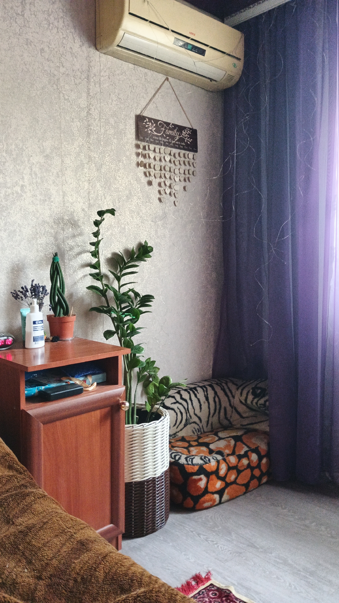 The image depicts an indoor scene, likely a living room or bedroom, with elements suggesting a personal living space. In the upper portion of the frame, a beige air conditioner is mounted on a textured wall. Below the air conditioner, a decorative wooden plaque with the word "Family" and various hanging heart-shaped ornaments is displayed.
To the left, a small wooden nightstand or cabinet holds several items: a bottle of lotion, a small potted plant with lavender, and another unusual green plant with a twisted stem. An electronic clock displaying "0:10" is also visible. A larger green plant, a ZZ plant, with numerous stems and leaves, is positioned next to the nightstand, its pot housed within a two-toned woven basket.
To the right, a purple sheer curtain hangs, partially obscuring the corner of the room. In front of the curtain, a floor cushion or ottoman with an orange and black animal print pattern rests on a light-colored wooden floor. Behind the ottoman, a patterned sofa or chair with a black and white tiger print is partially visible. A section of a brown, textured blanket or throw is in the foreground on the left, partially covering a rug with a red and dark pattern.
The environment appears to be domestic and somewhat cluttered. There are no people visible in the image, and no specific actions are being depicted. The lighting suggests it is daytime, with light filtering in from the right side. The overall impression is of a cozy, lived-in room. No specific indicators of the city of Kryvyi Rih, Ukraine, are present within the frame itself.