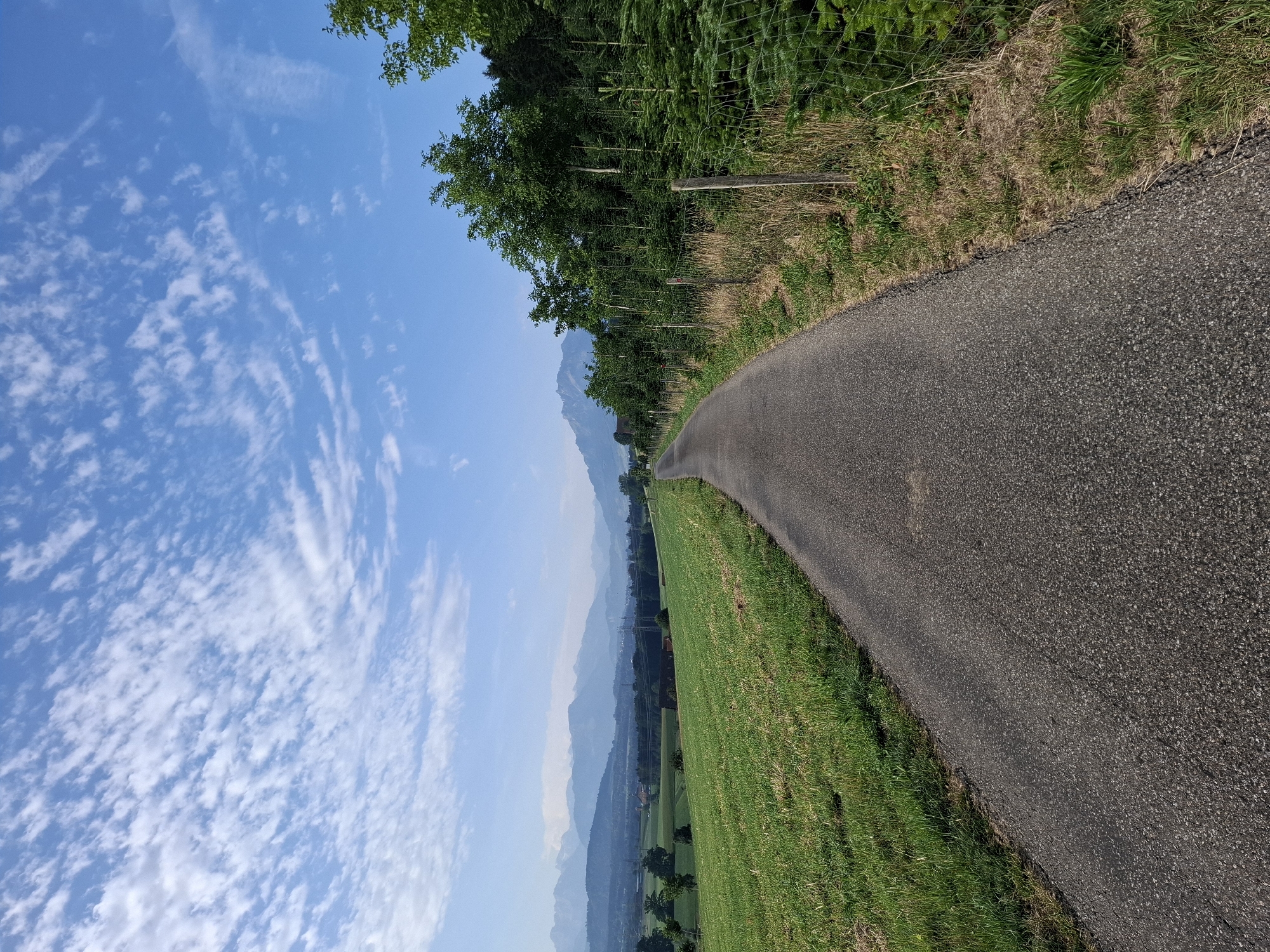 The image depicts a paved road winding through a rural landscape under a bright blue sky with scattered white clouds. On the left side of the road is a vibrant green grassy field, suggesting it is a meadow or pasture. In the distance, rolling hills and a range of mountains are visible, layered in shades of blue and purple, indicating a clear and expansive view.
On the right side of the road, a line of young evergreen trees is growing, protected by a wire fence supported by wooden posts. Beyond these young trees, larger, mature trees form a dense forest. The scene suggests a serene countryside environment, possibly in the municipality of Eschenbach (LU), Switzerland, given the mountainous backdrop. The road itself appears to be a pathway or a secondary road, with no vehicles or people visible. The overall impression is one of peaceful natural beauty and open space.