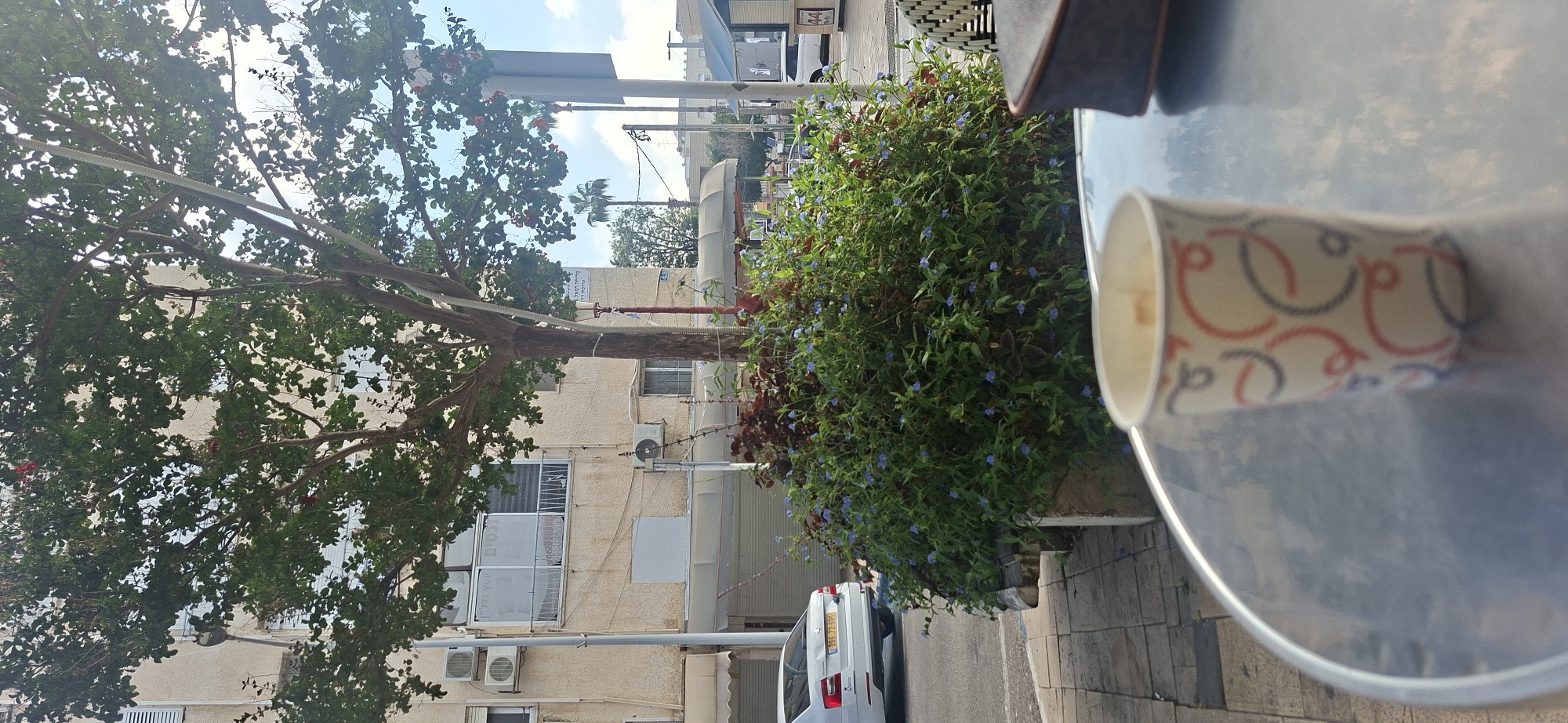 An outdoor scene shows a white disposable coffee cup with red and blue circular patterns on a reflective metallic table in the foreground. Behind the cup, a dense bush with small blue flowers and dark red leaves is visible, situated within a concrete planter. A tree with green foliage and some red blossoms is behind the bush. In the background, a light-colored apartment building with visible air conditioning units and windows with white blinds is present. A white car with a yellow license plate is parked on the left side of a paved sidewalk. Further in the background, palm trees and other buildings can be seen under a bright, slightly cloudy sky. The scene appears to be on a city street, possibly near a cafe or residential area.
