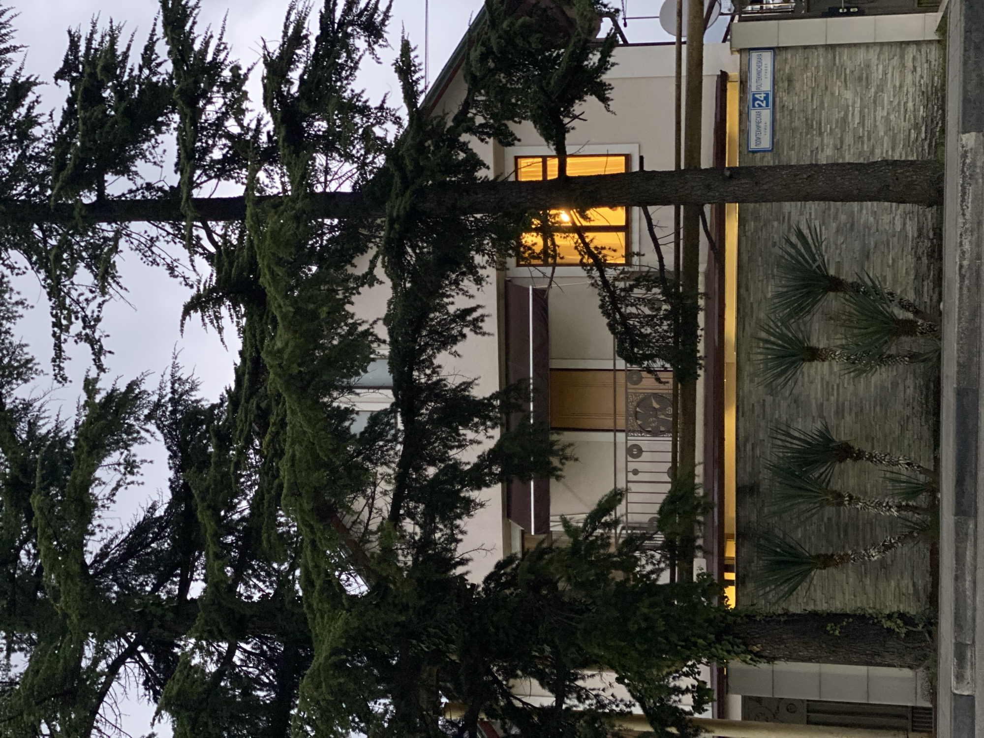 A vertical, eye-level shot shows a portion of a building in Sochi, Russia. Trees dominate the left half of the frame, obscuring the facade of the building. A street sign with the number "24" and "ПОЛИТЕХНИЧЕСКАЯ ULITERINSKAJA STREET" is affixed to the building's brick exterior. A light is illuminated within a window of the building. Palm trees are planted alongside the building. The sky is overcast.