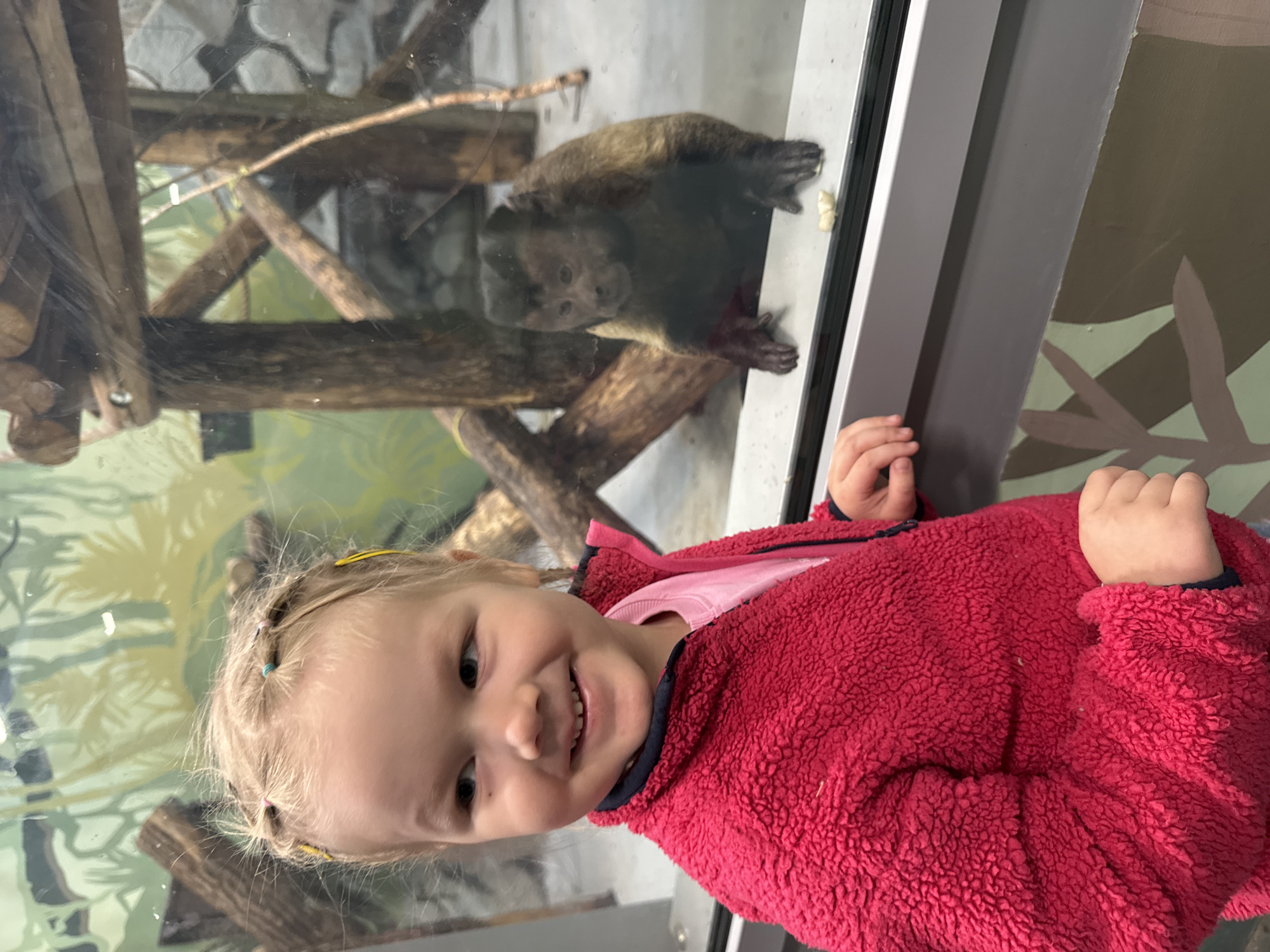 A young, fair-skinned girl with blonde hair styled in pigtails stands close to a glass enclosure, likely at a zoo. She is smiling and wearing a pink shirt under a red, fleece-like jacket. Inside the enclosure, a monkey, possibly a capuchin, clings to a branch. The background shows a painted mural suggesting a natural habitat. The location is at the Perm Zoo in Perm, Russia.