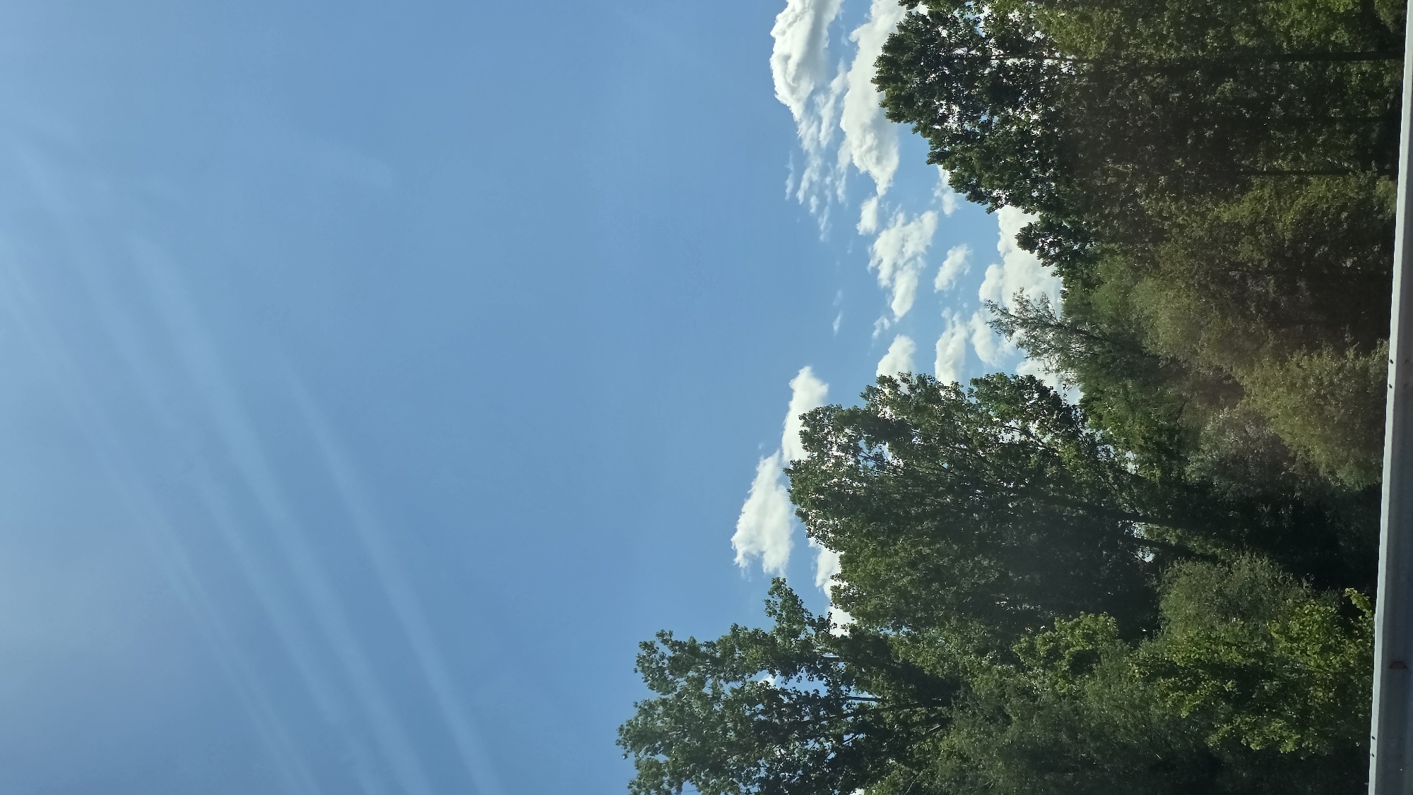 The image shows a view of a bright blue sky with scattered white cumulus clouds. A line of green trees forms the right edge of the image, obscuring part of the sky. The location of the photo is not discernable from visual evidence.