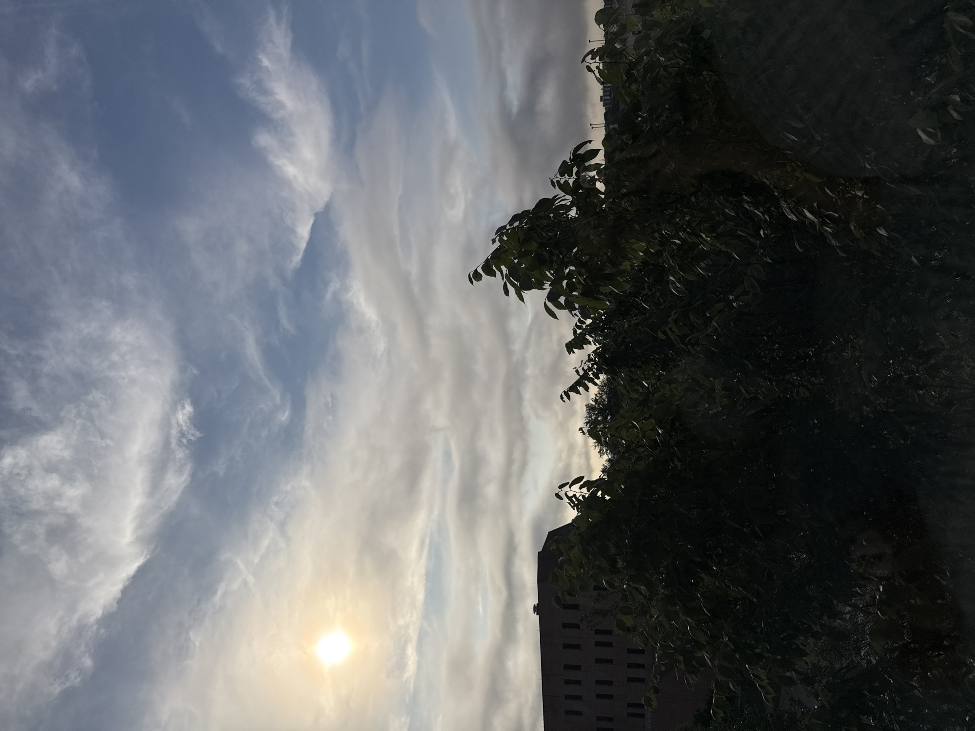 The image, rotated 90 degrees counter-clockwise, depicts a sky with scattered cirrus clouds and the sun low on the horizon, suggesting early morning or late afternoon in Austin, Texas. A building with visible windows and potentially satellite antennas is visible partially obscured by a dense tree. The lighting is dim.